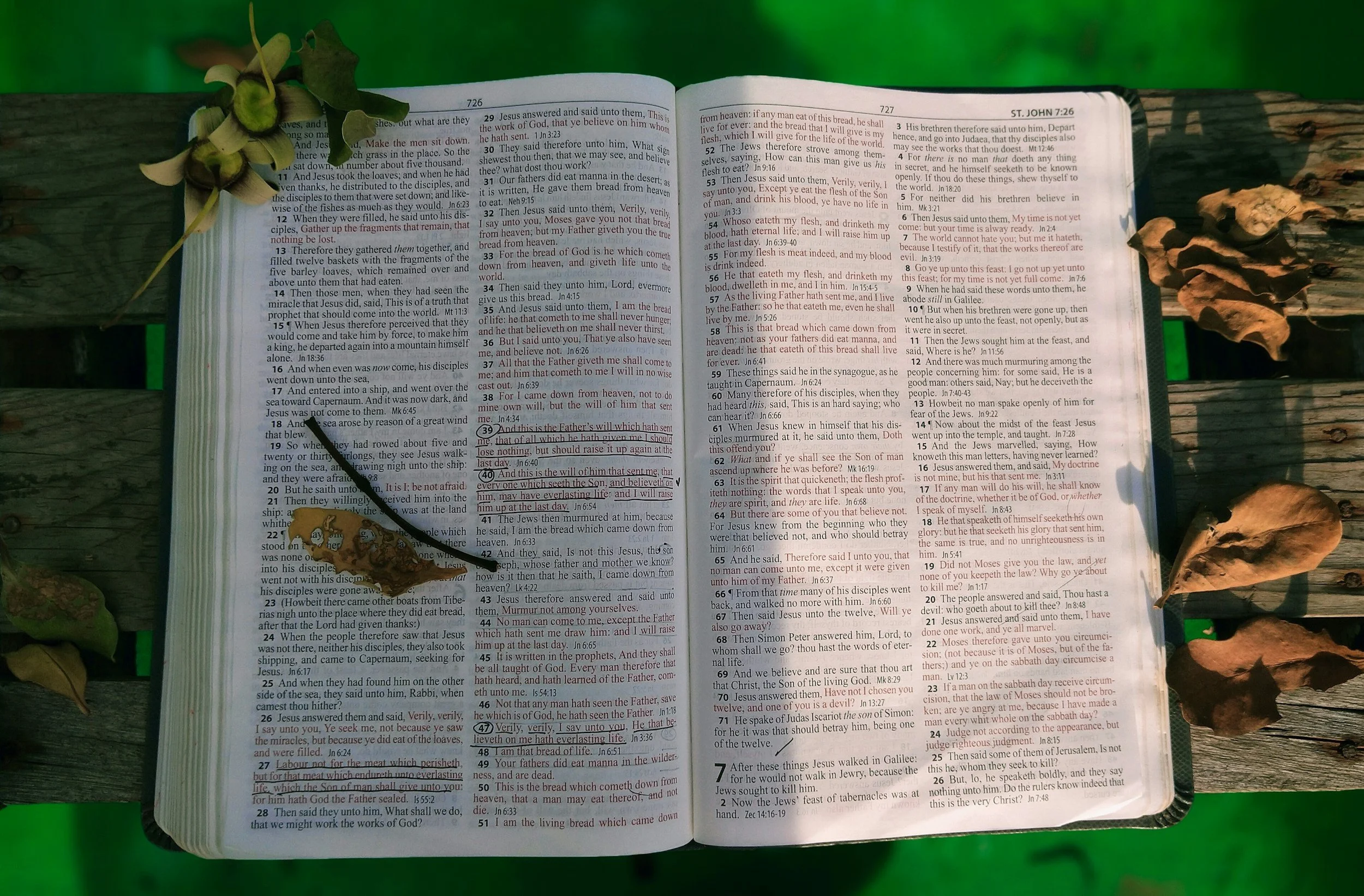 Ed Devine 01/04/26 - The Sower Sows The Seed #3