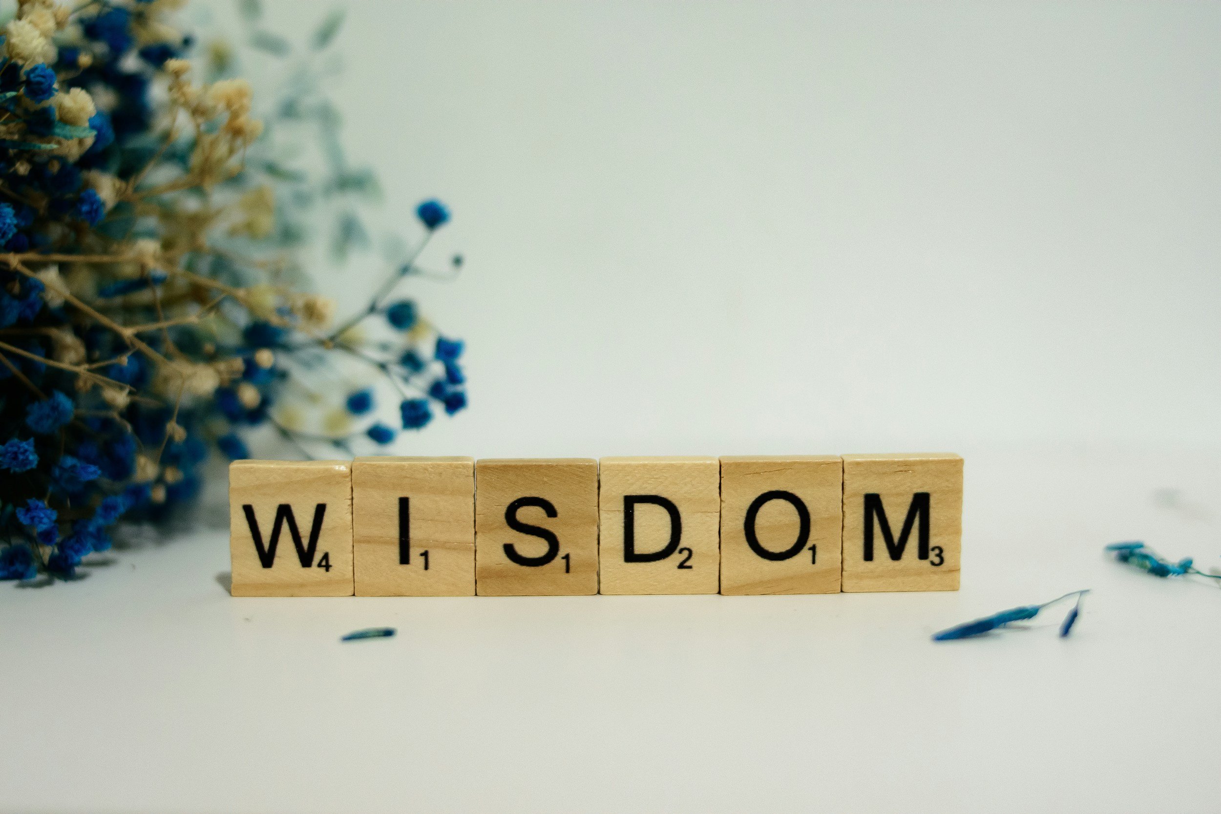 Paula McIntyre 06/14/26 - Knowledge, Understanding, Discernment, and Wisdom