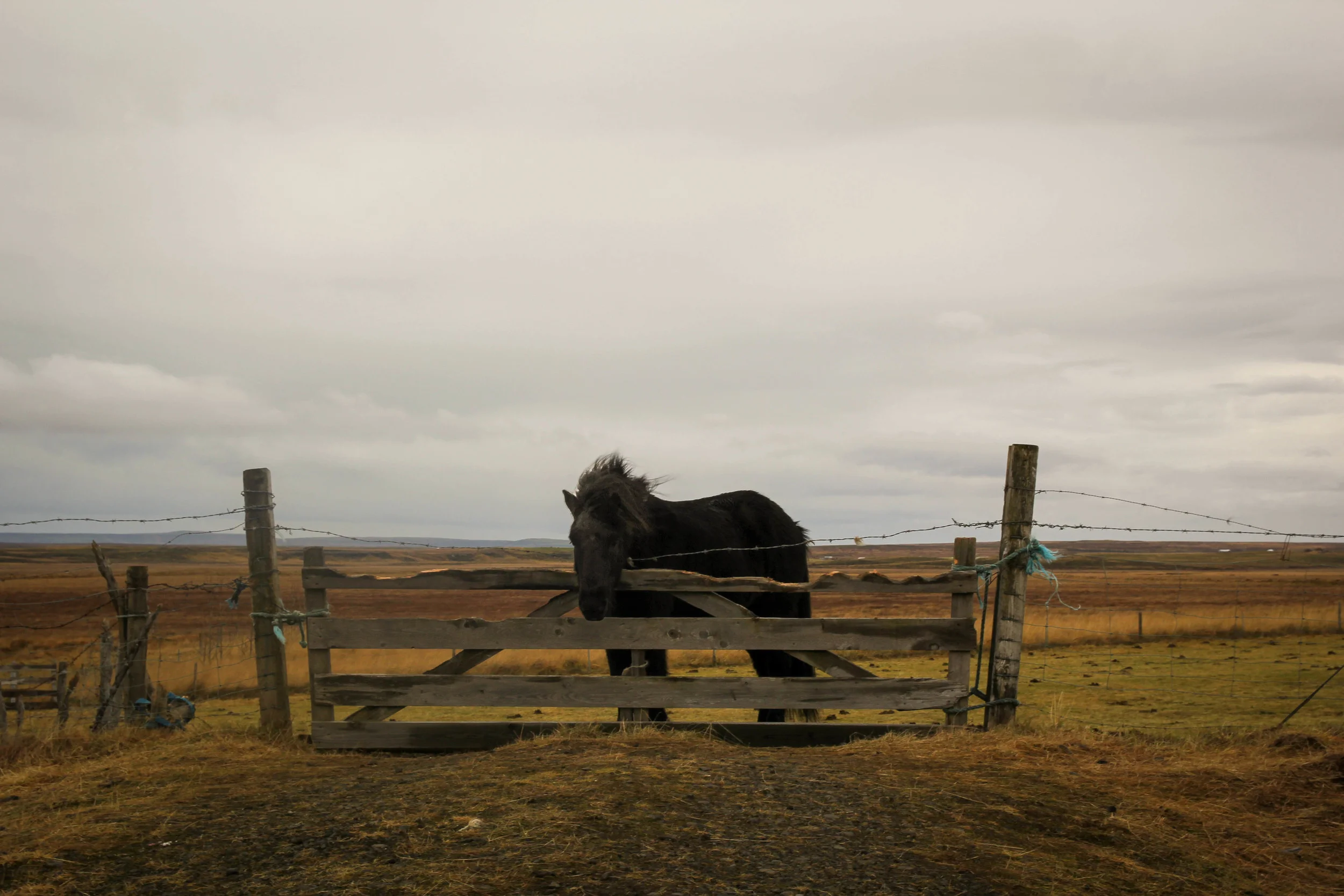 ICELAND-92