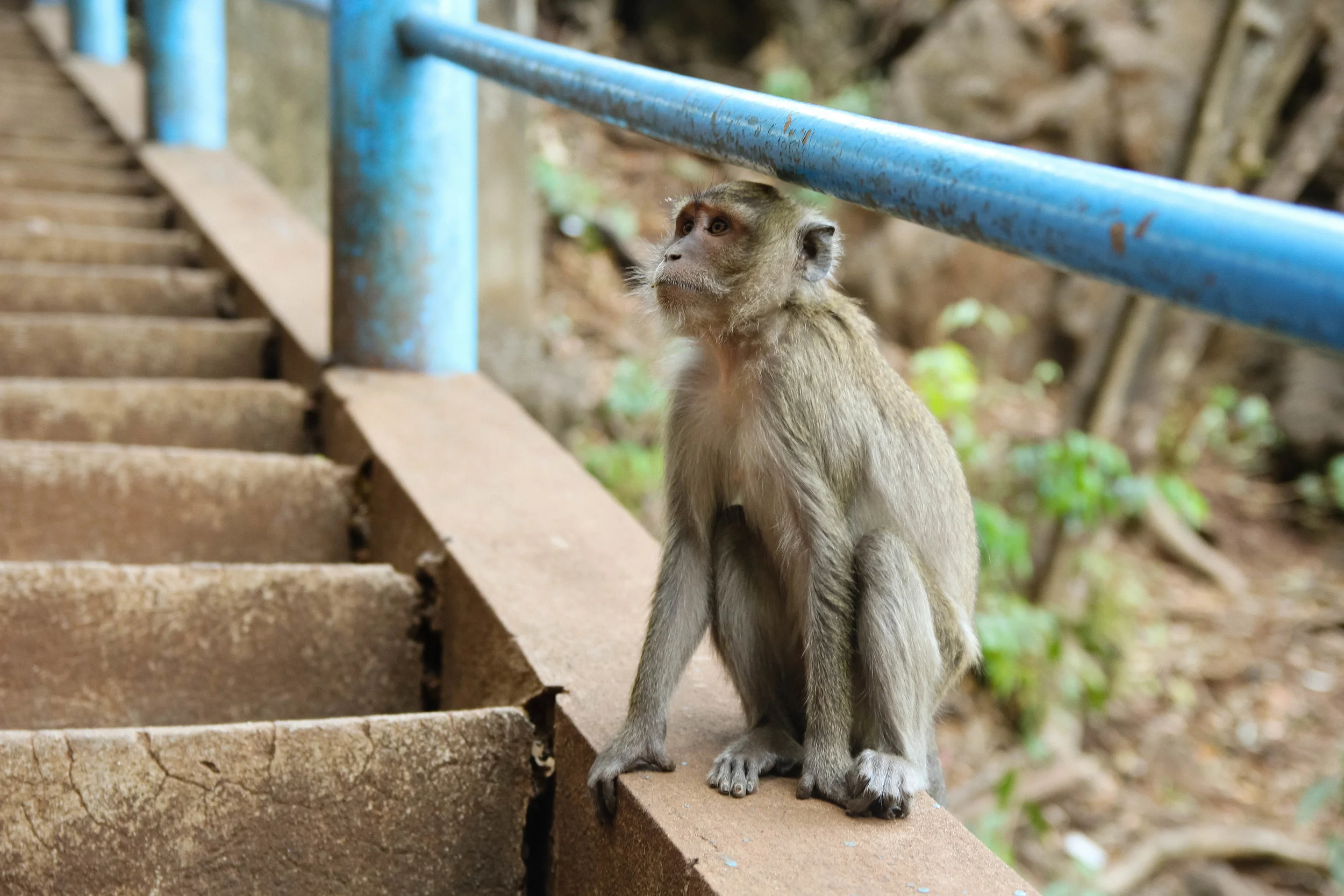 THAILAND-166
