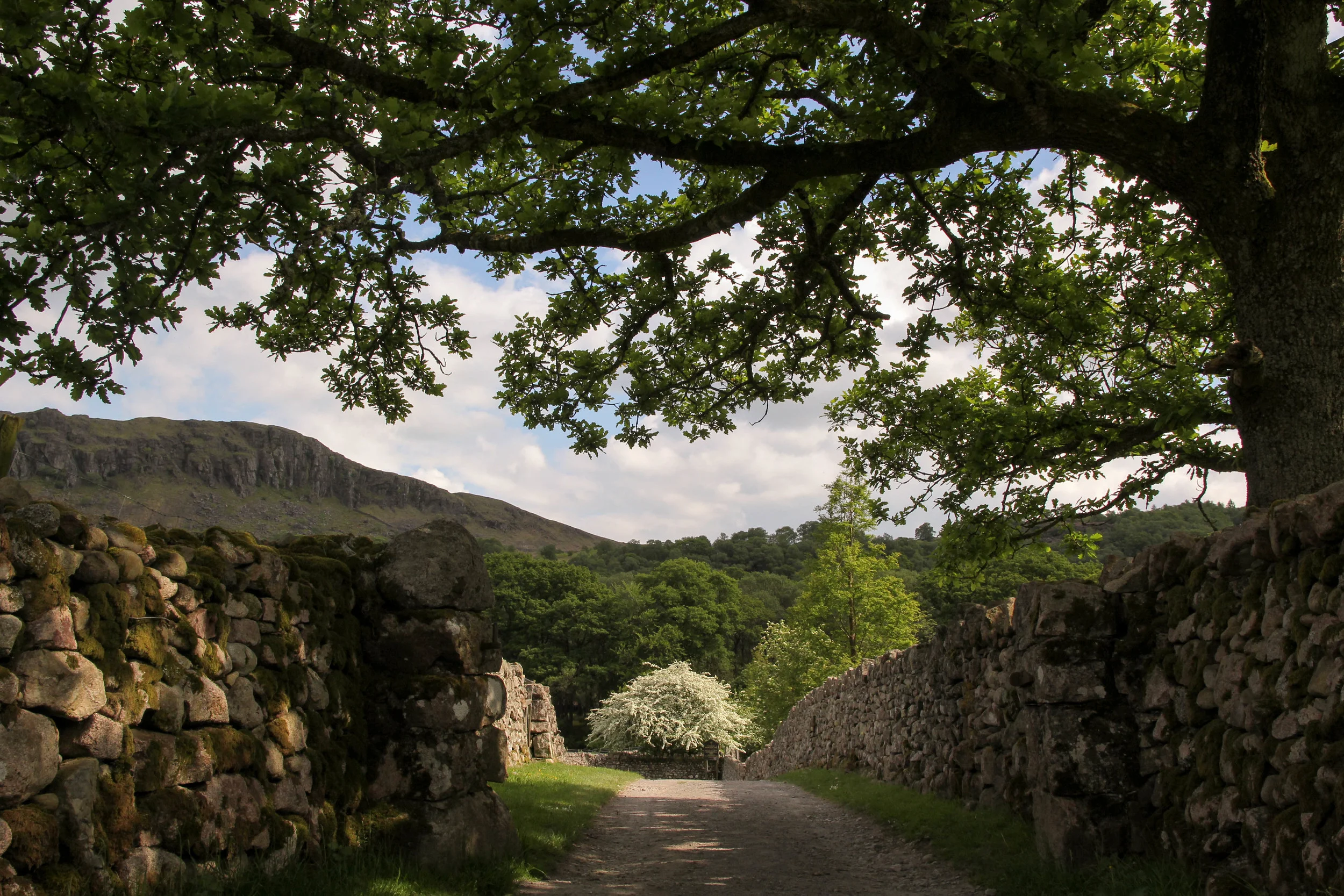 LakeDistrict-147