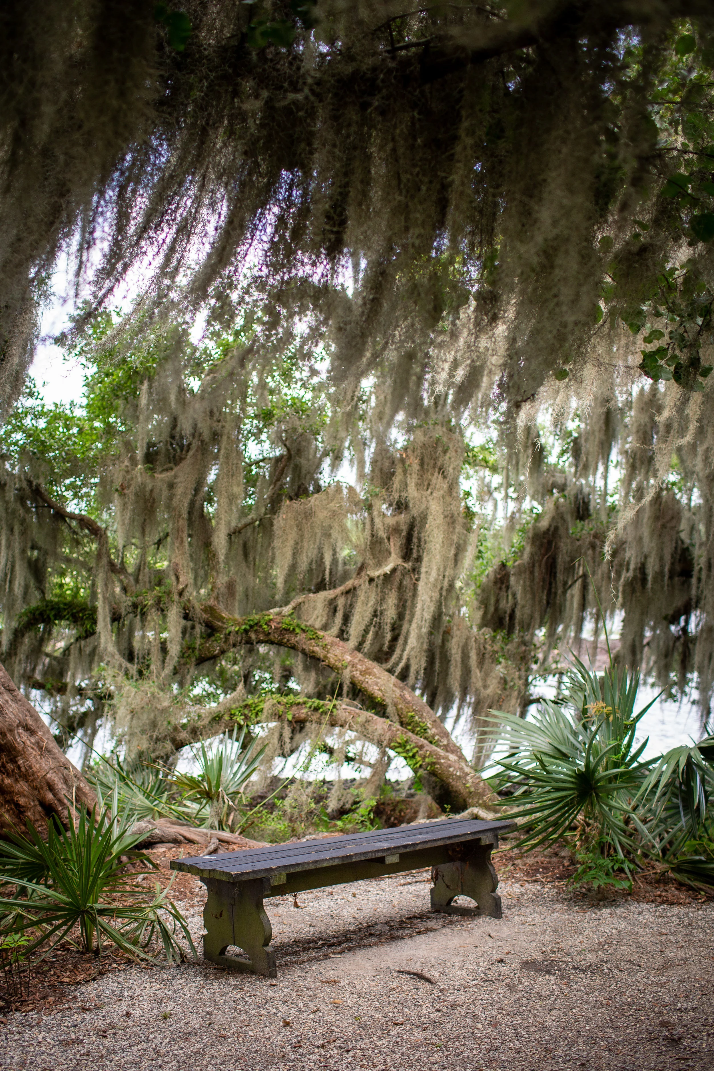 Charleston-58.jpg
