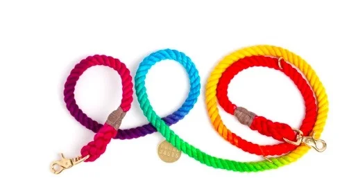 rainbow rope leash