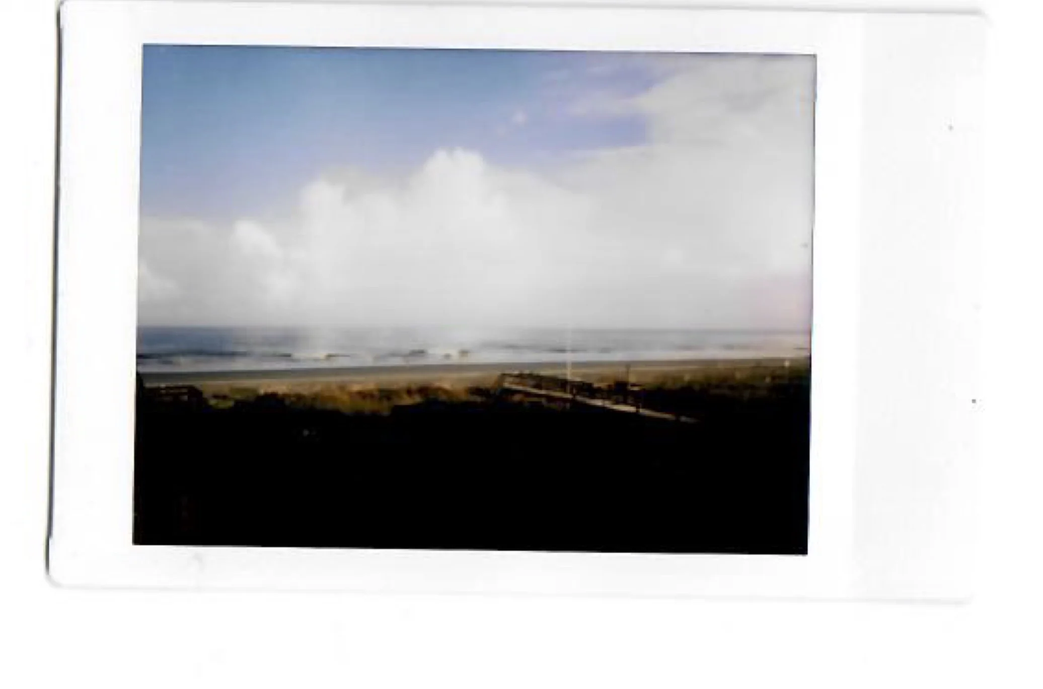 charleston_3.jpg
