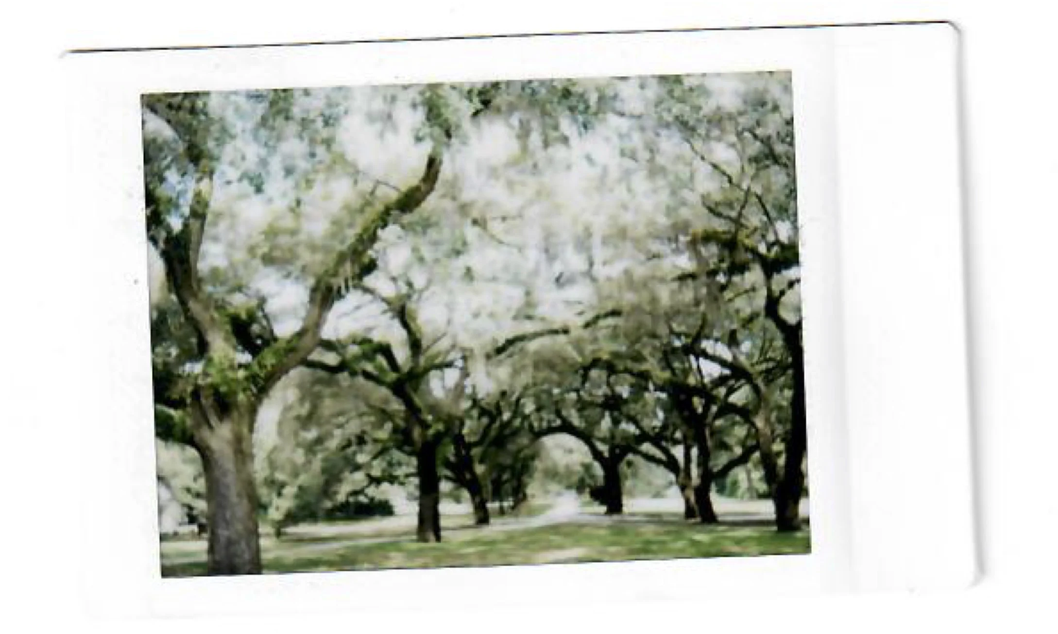 charleston_2.jpg