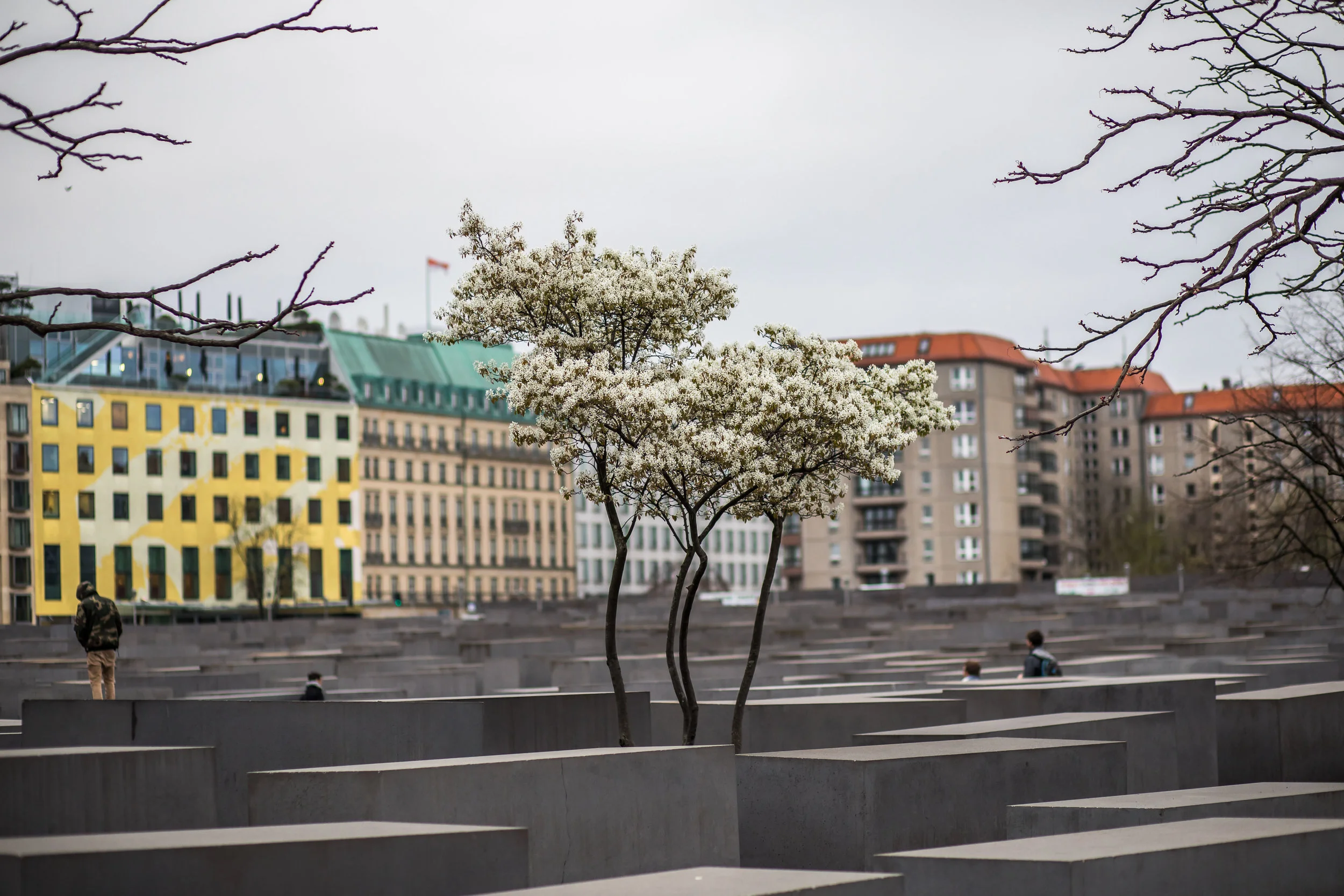 berlin-17.jpg