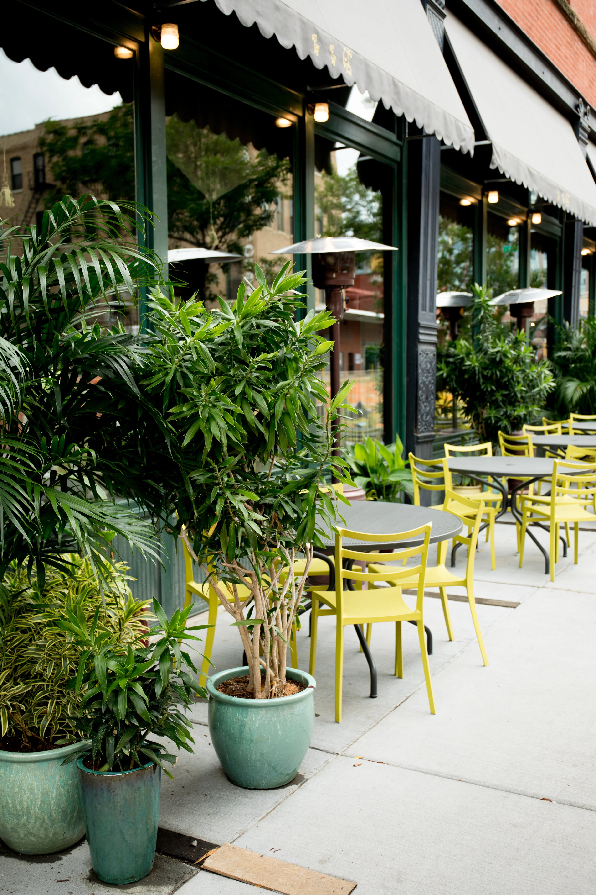 ddg_patio.jpg