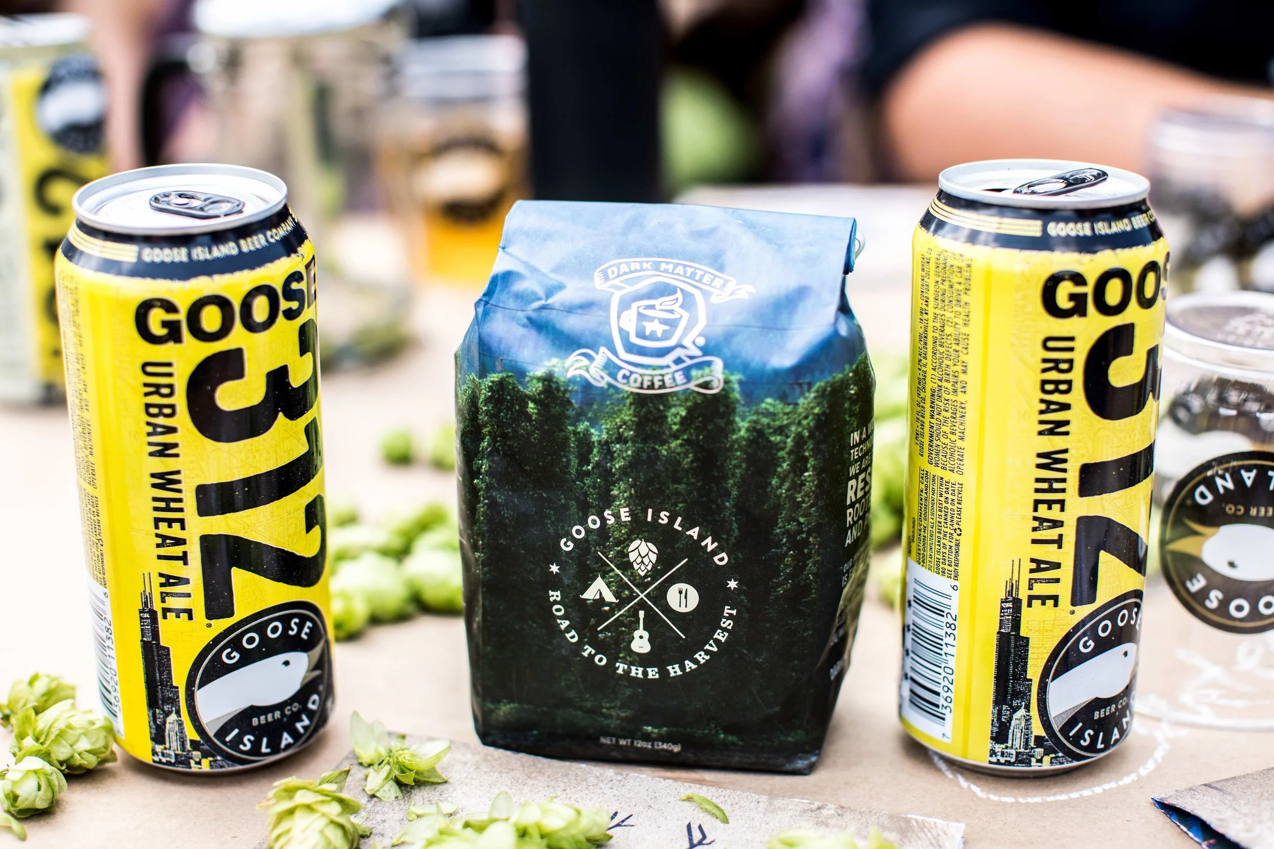 monson_hop_harvest_hoptourwilco-115.jpg