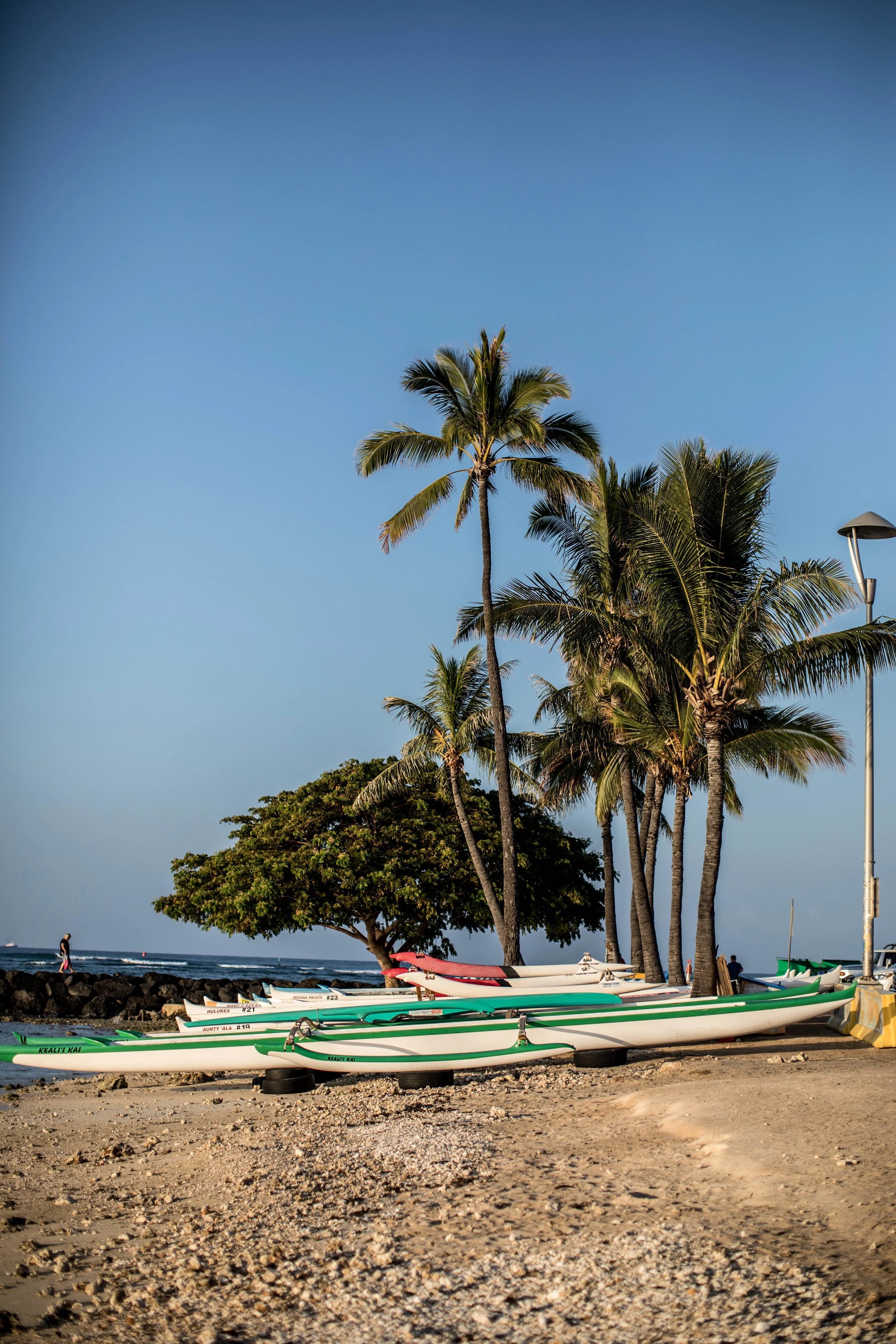 monson_hawaii_1-12.jpg