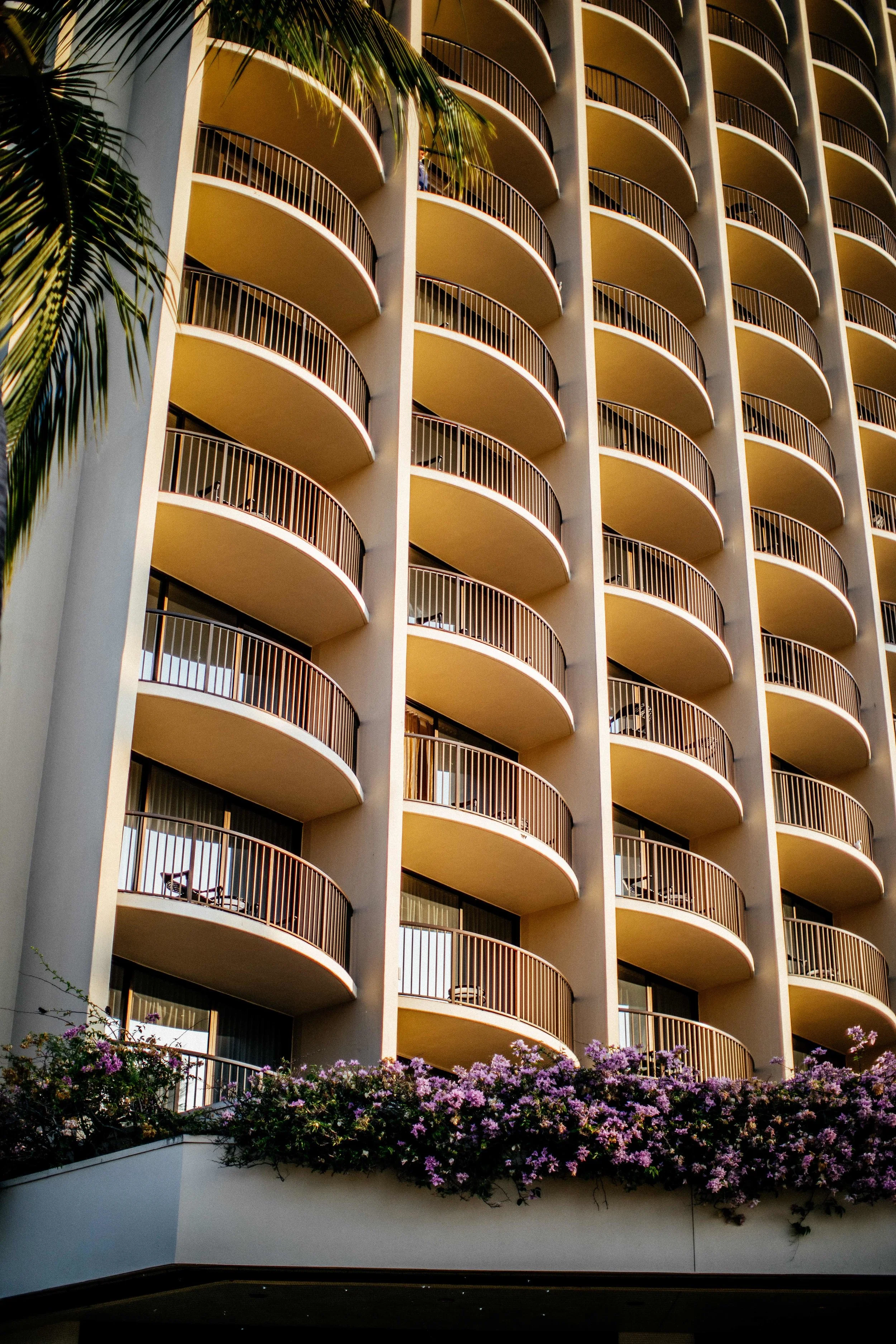 monson_hawaii_1-16.jpg