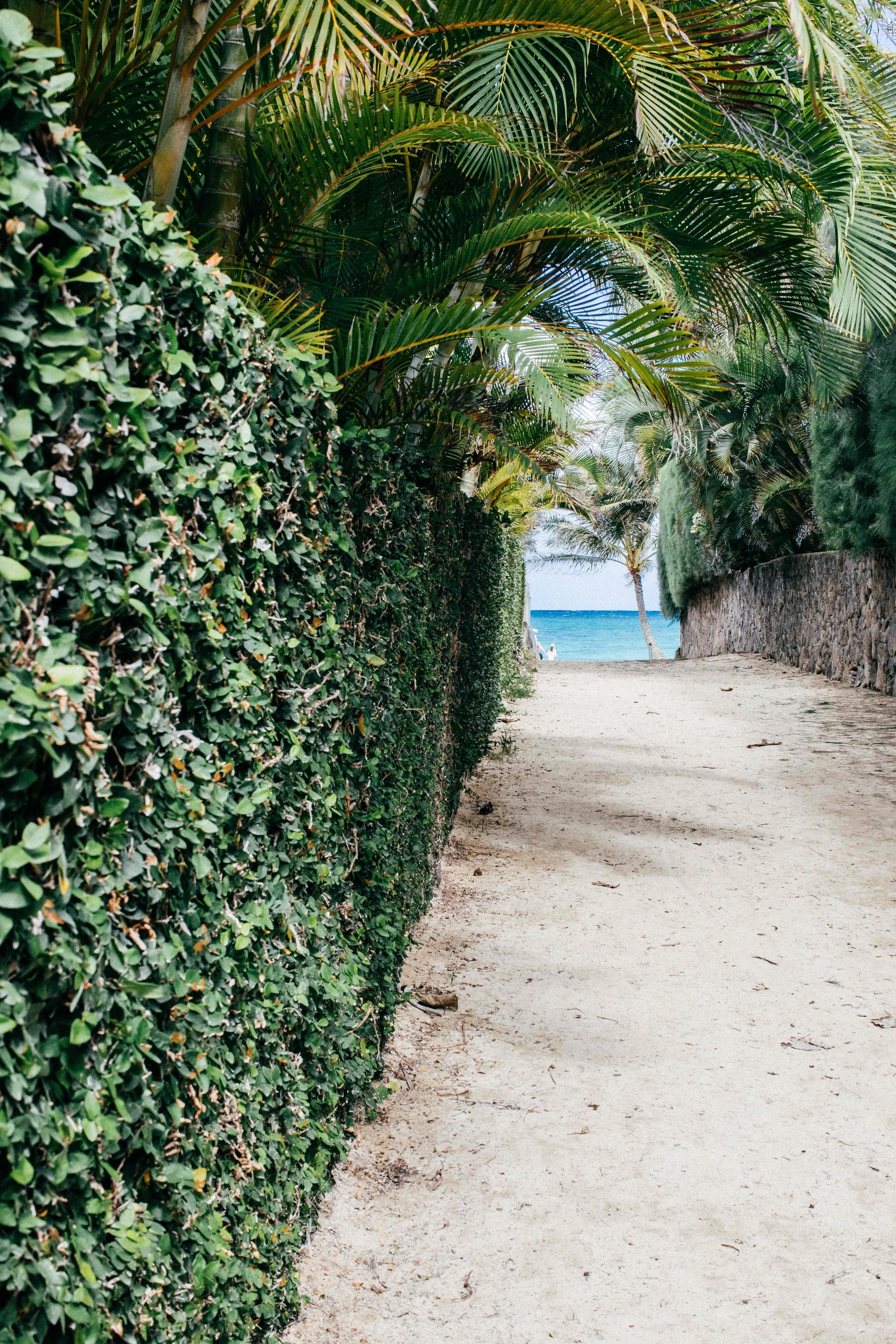 monson_hawaii_lanikai beach-16.jpg