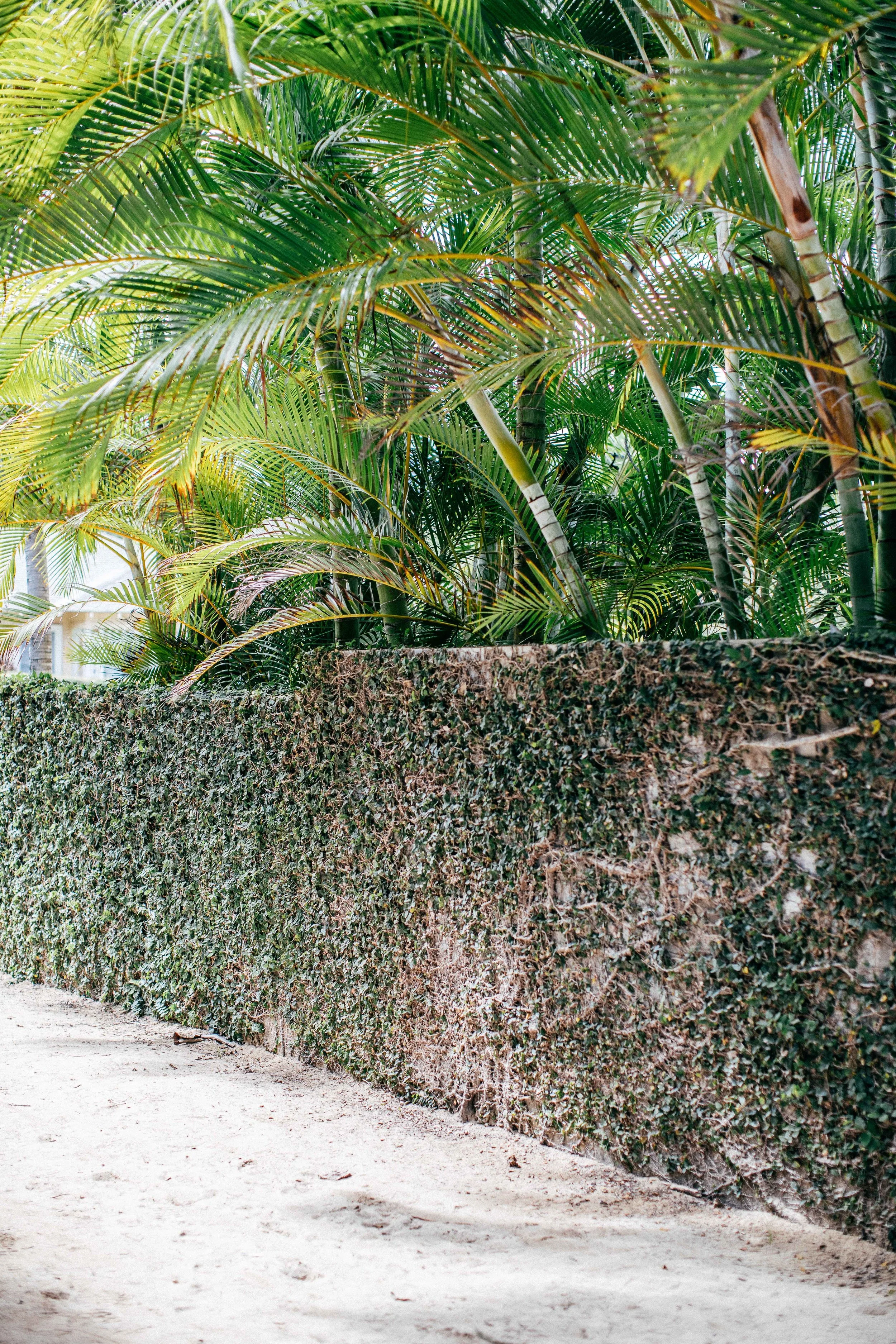 monson_hawaii_lanikai beach-15.jpg