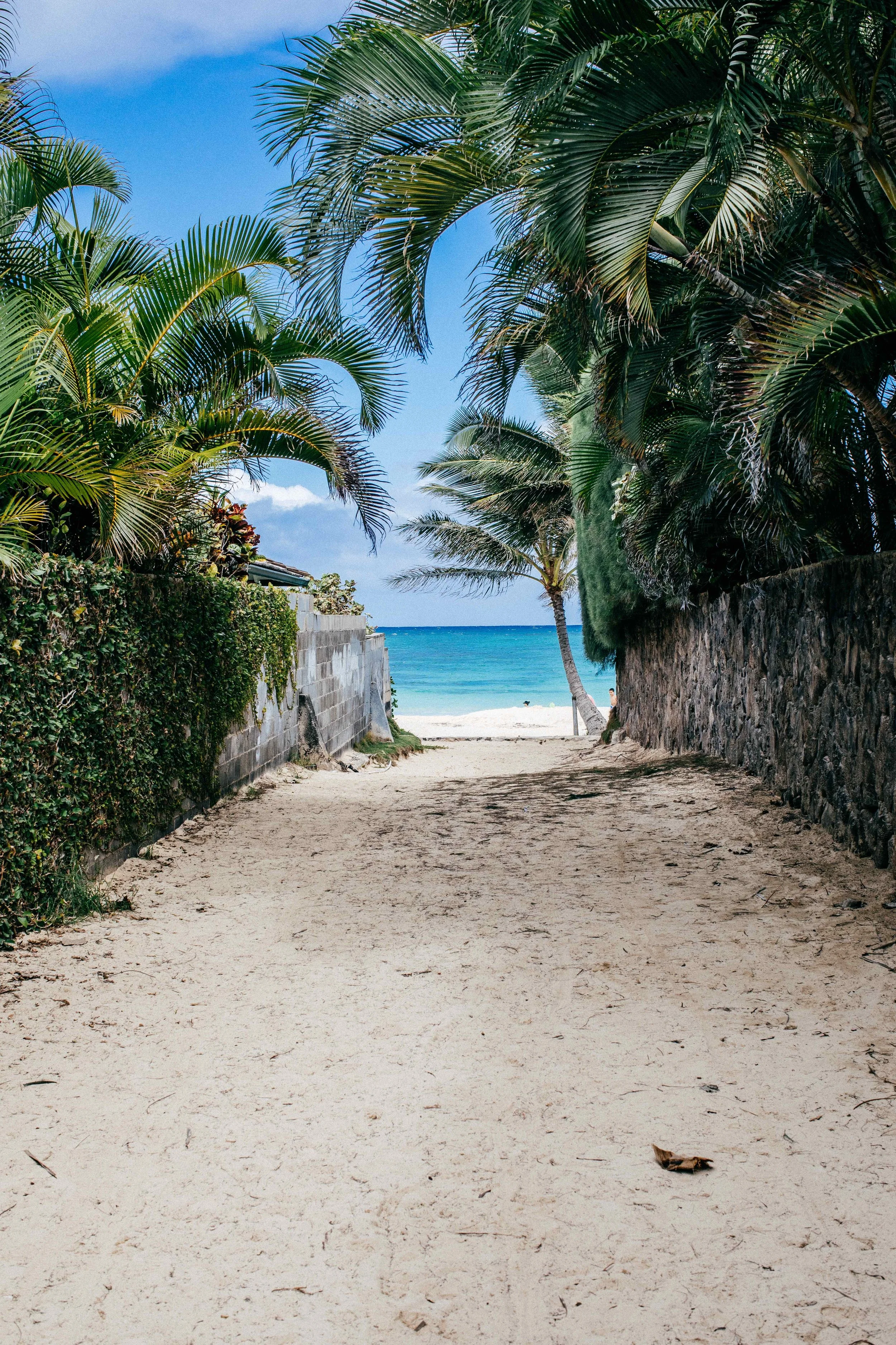 monson_hawaii_lanikai beach-14.jpg