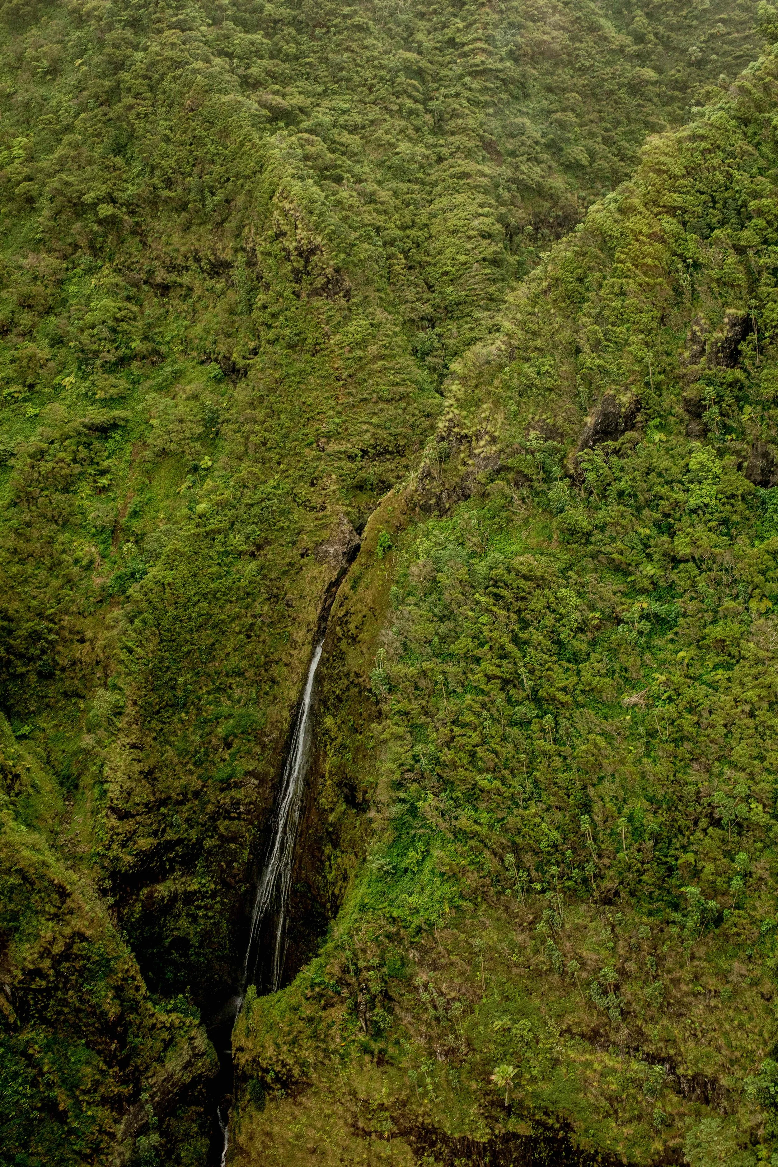 monson_hawaii_tour-27.jpg