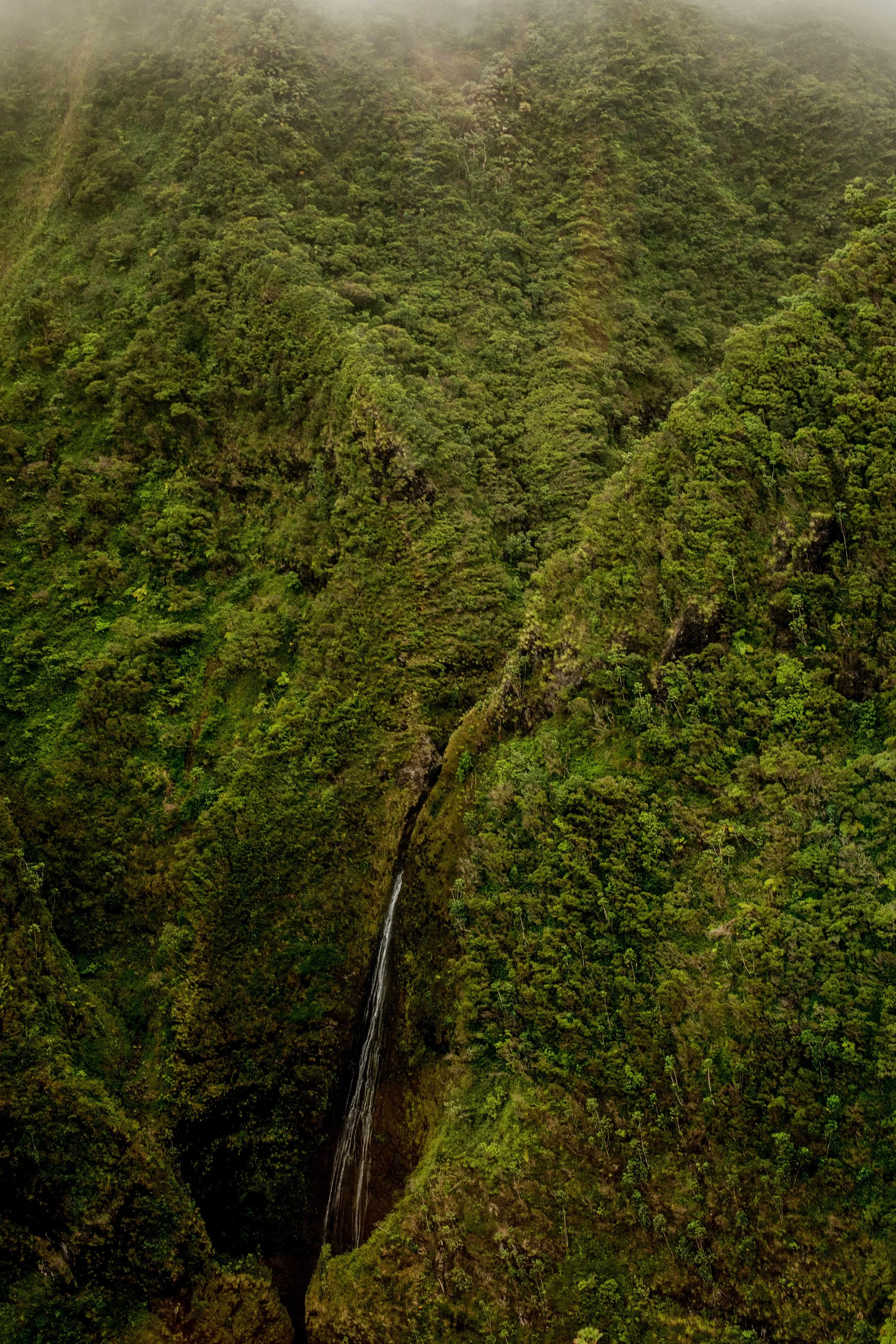 monson_hawaii_tour-26.jpg