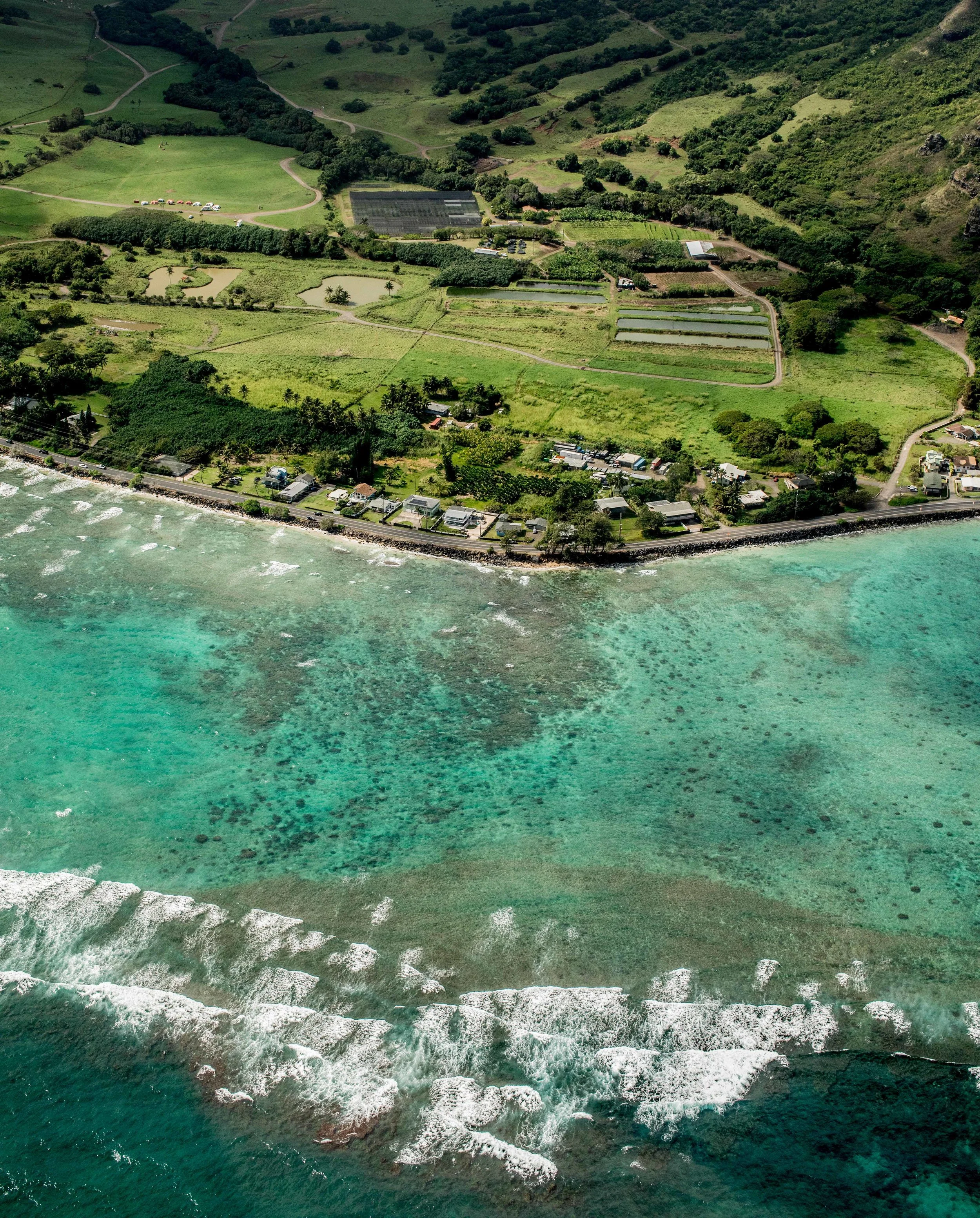monson_hawaii_tour-19.jpg