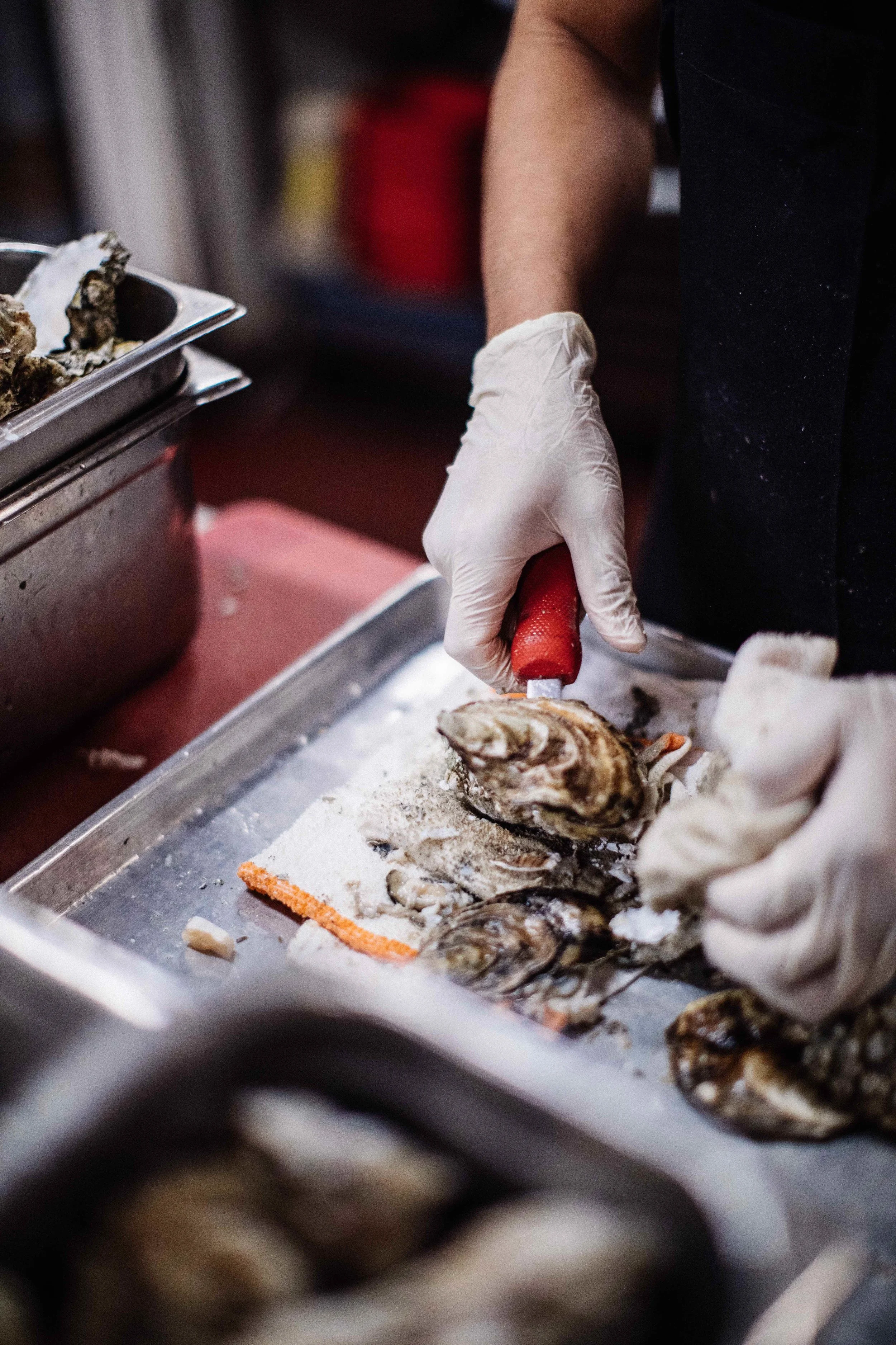 gtg_fall_oysters.jpg
