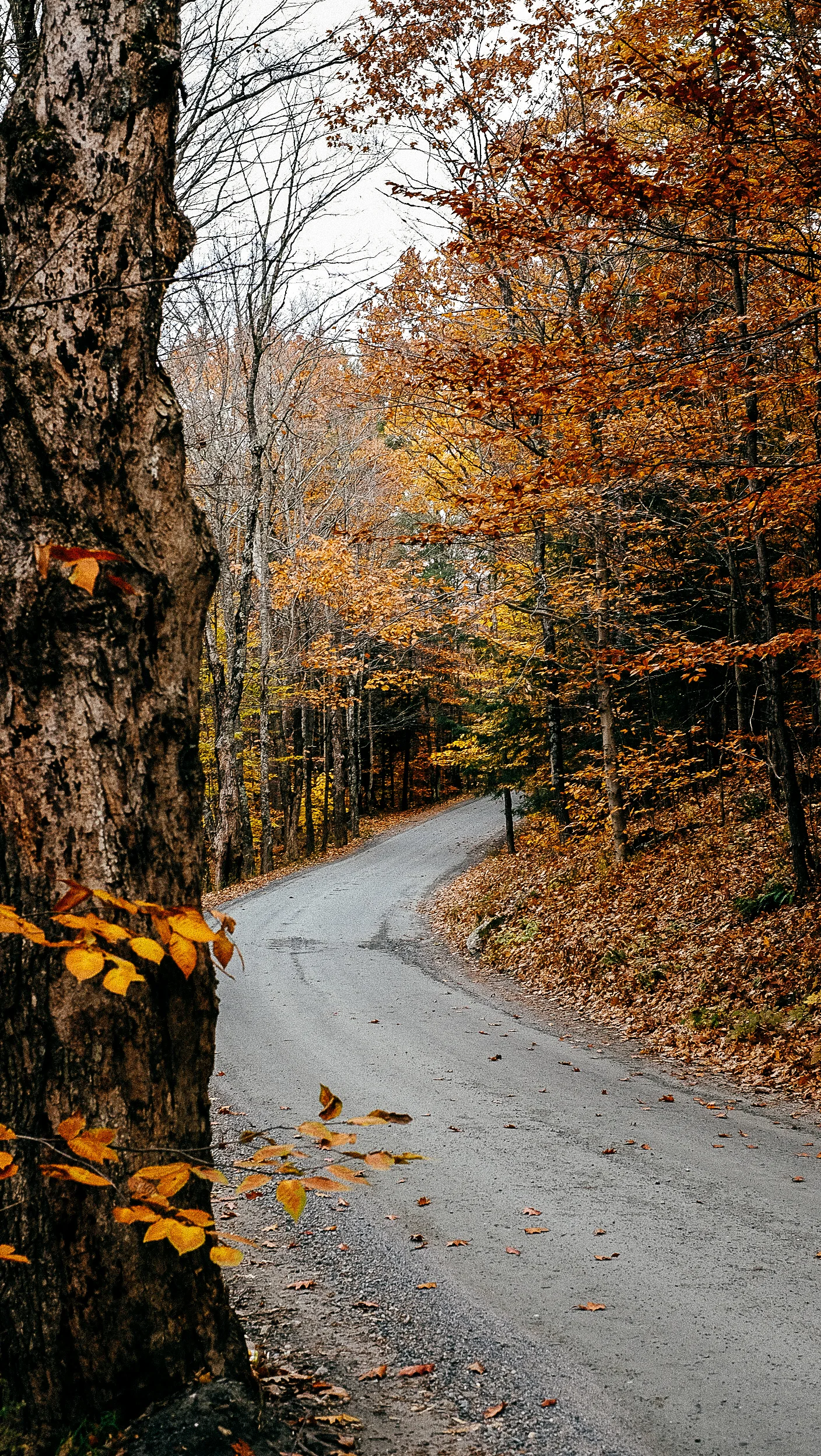 monson_woodstock_ct-10.jpg