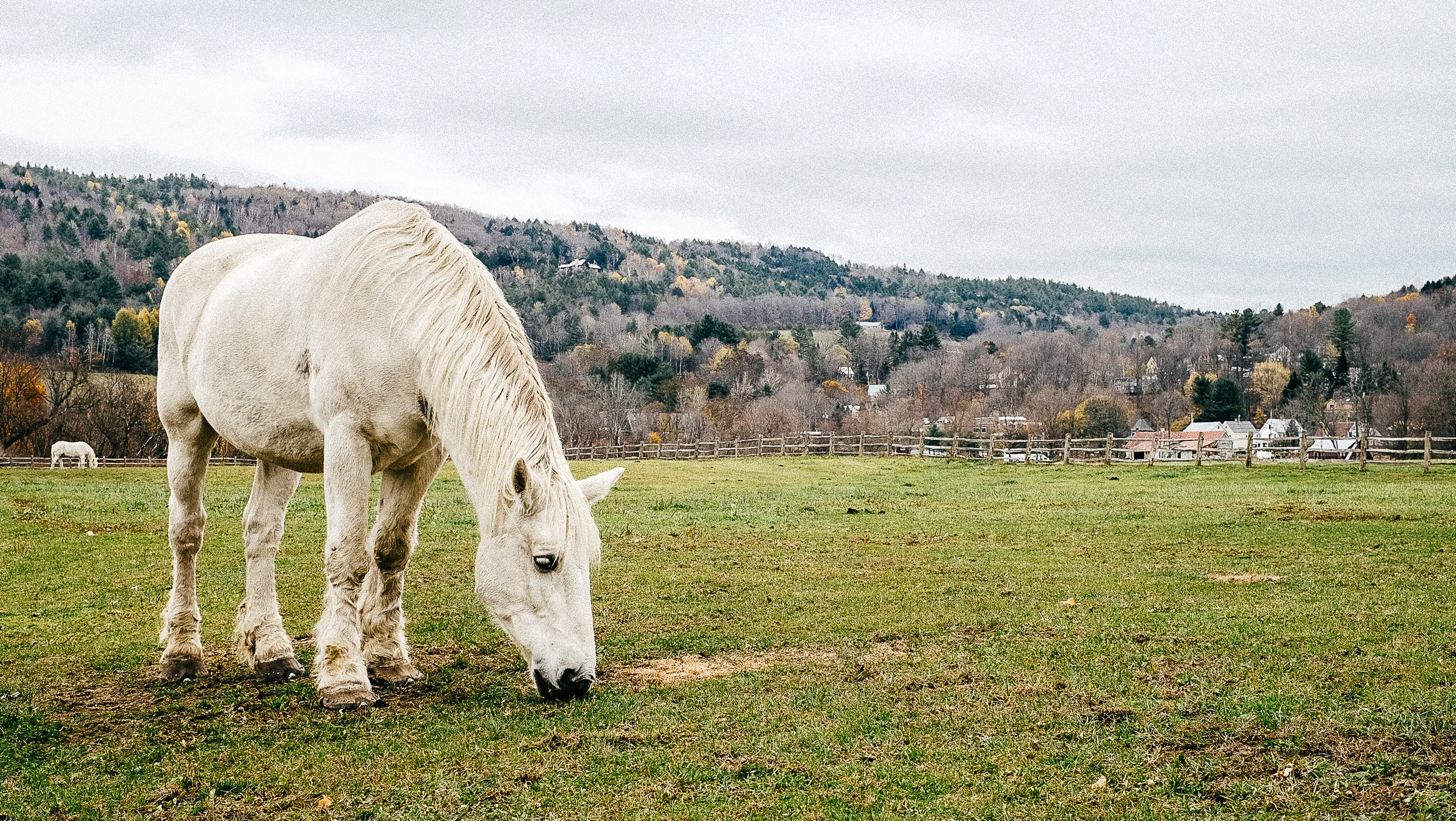 monson_woodstock_vt-15.jpg