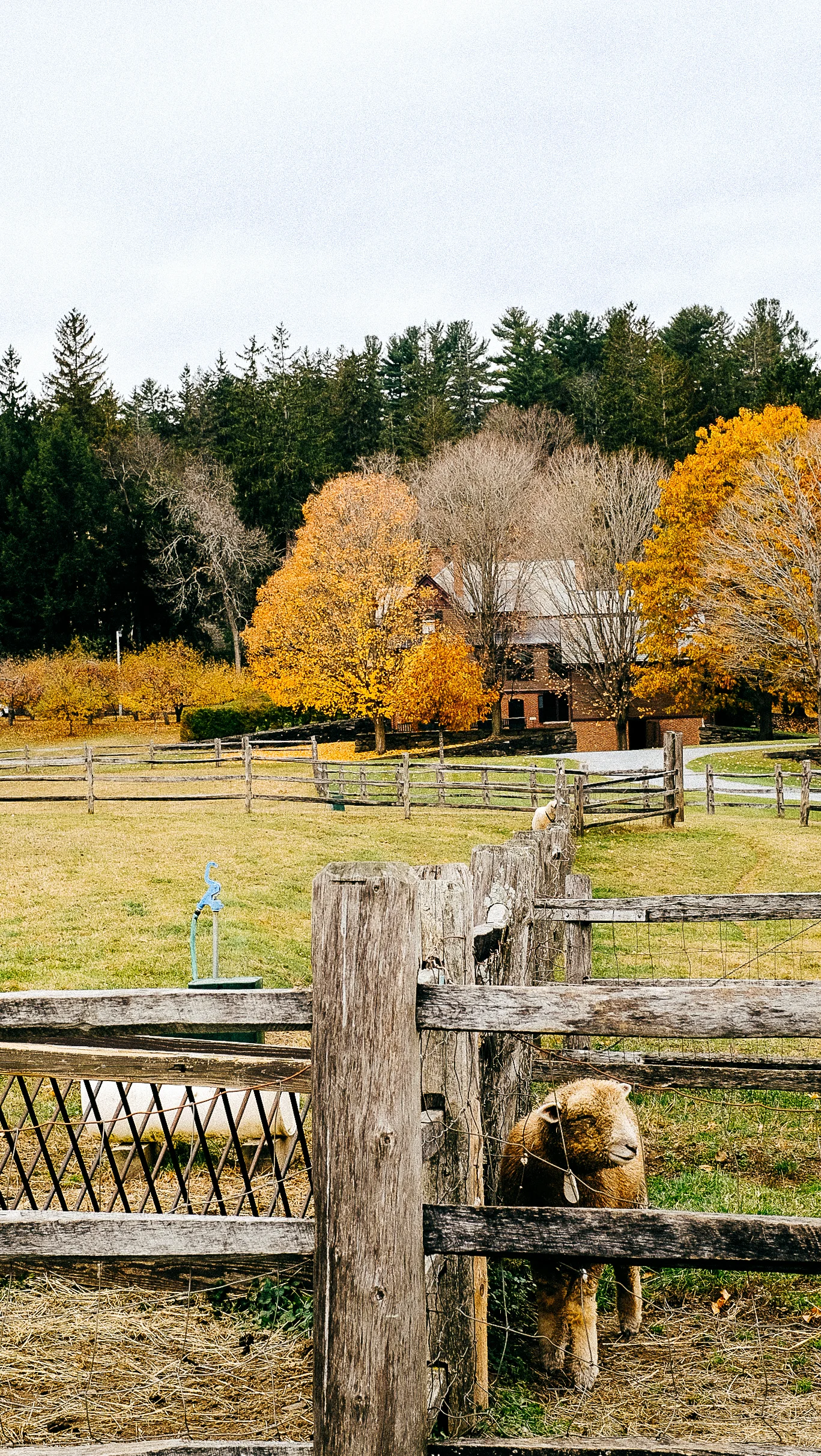 monson_woodstock_vt-12.jpg