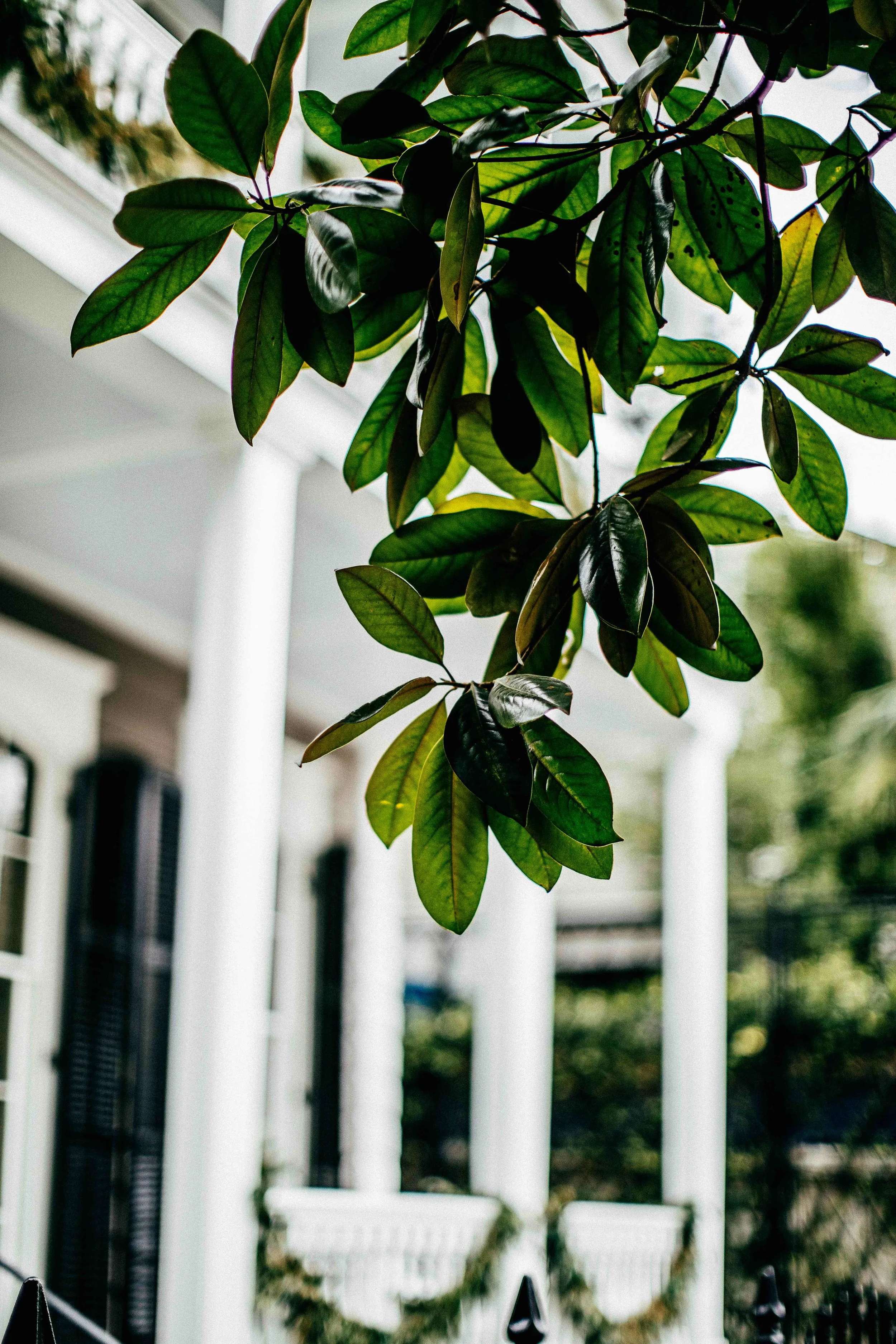 smons_nola-day2-15-1.jpg