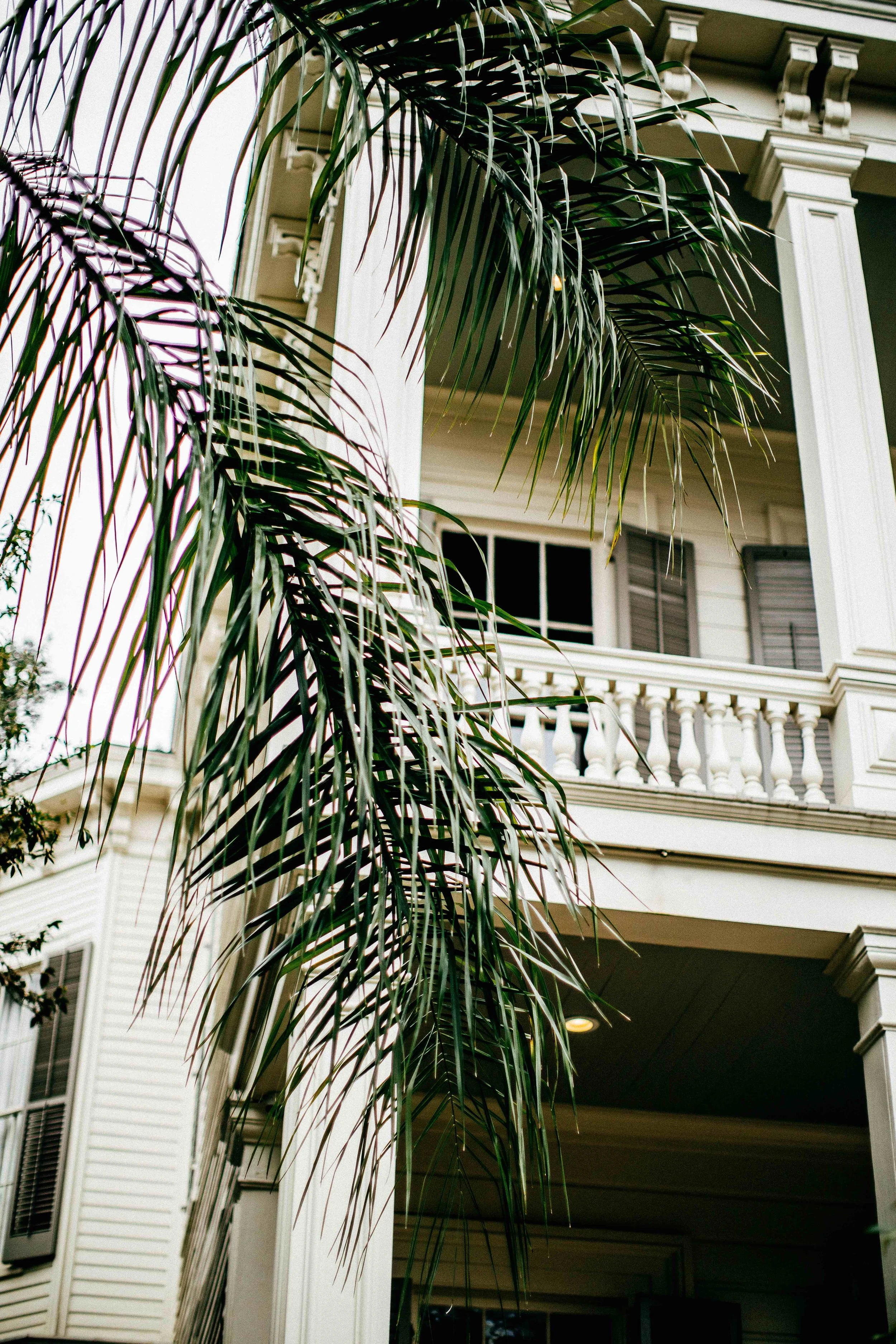 smons_nola-day2-22-1.jpg