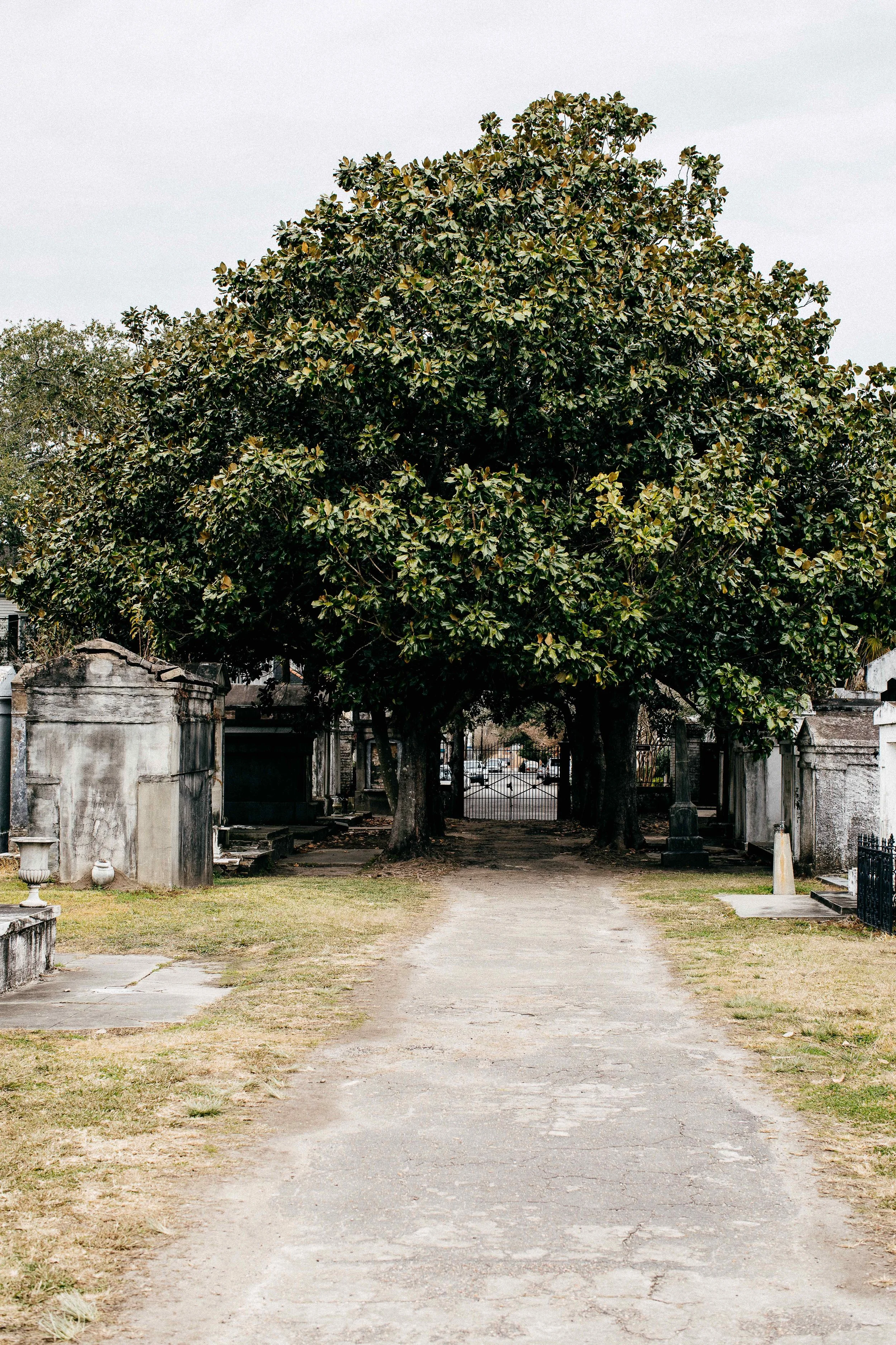 smons_nola-day2-8-1.jpg