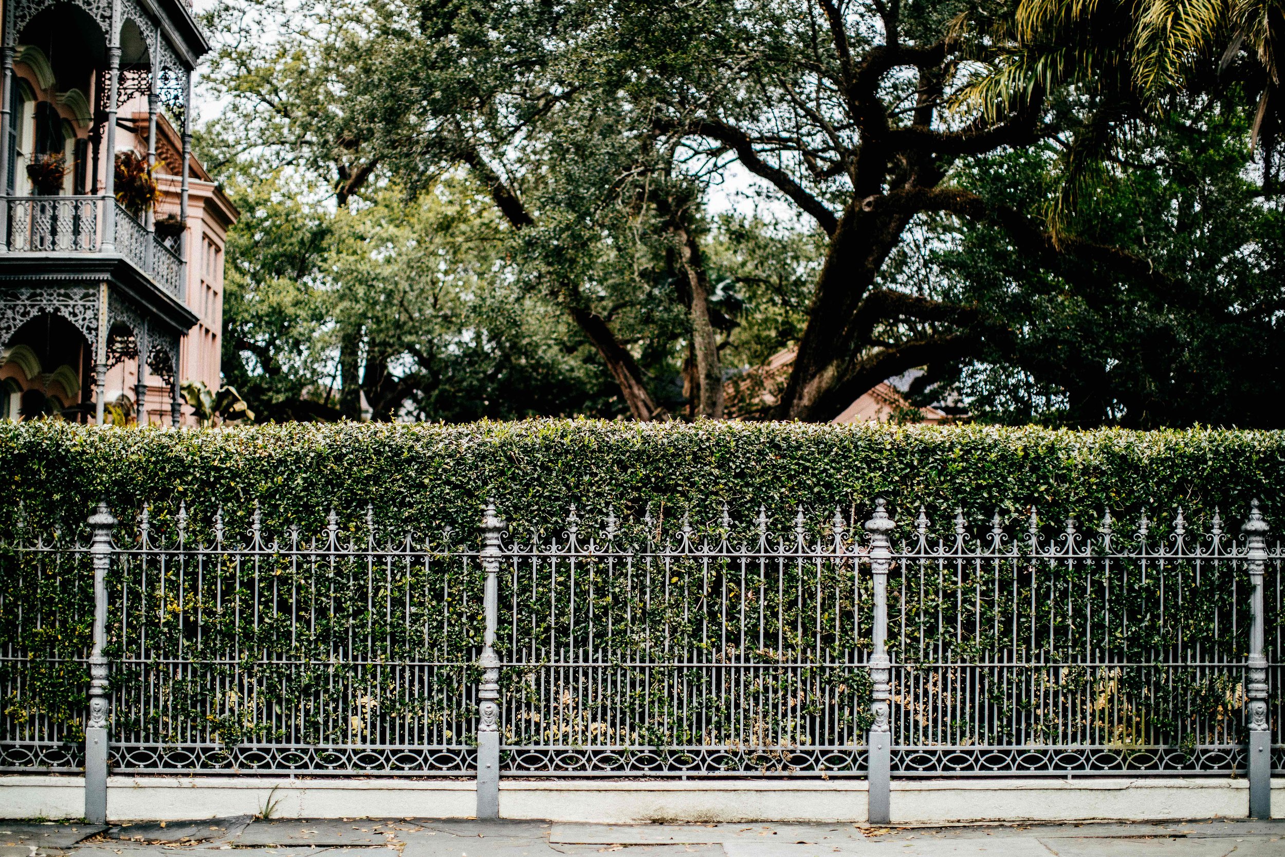 smons_nola-day2-21-1.jpg