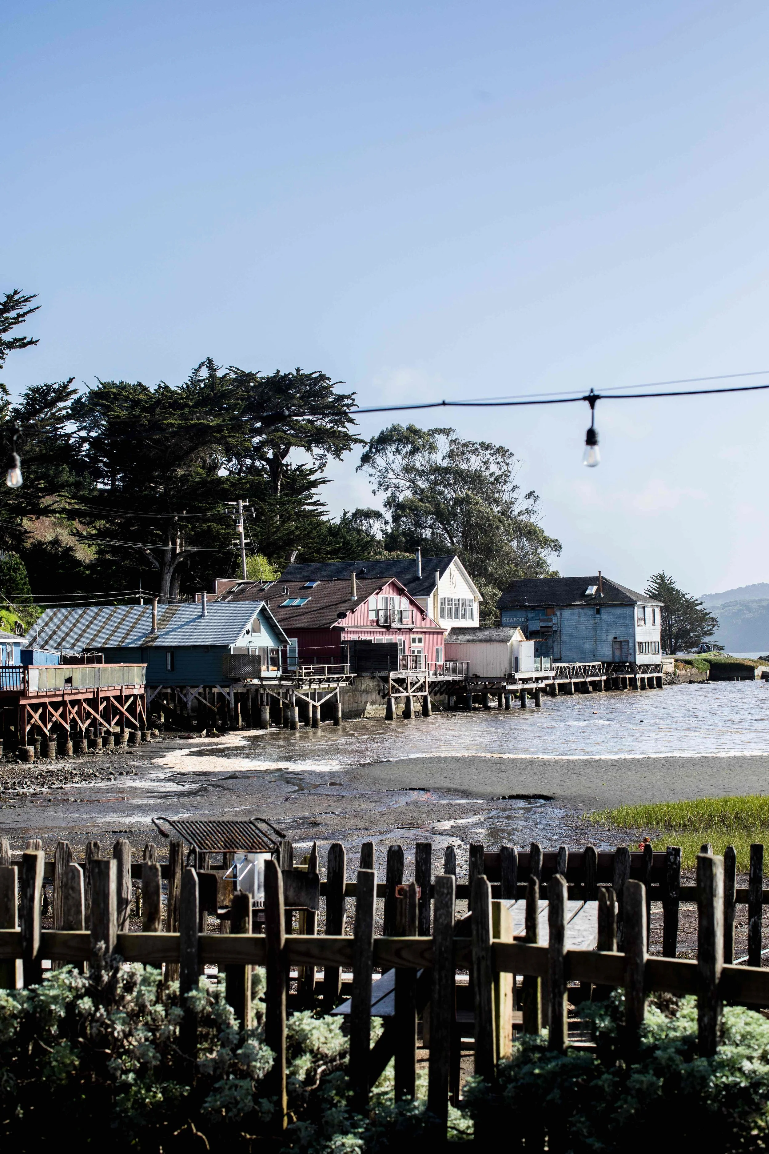 monson_san_fran2-10.jpg