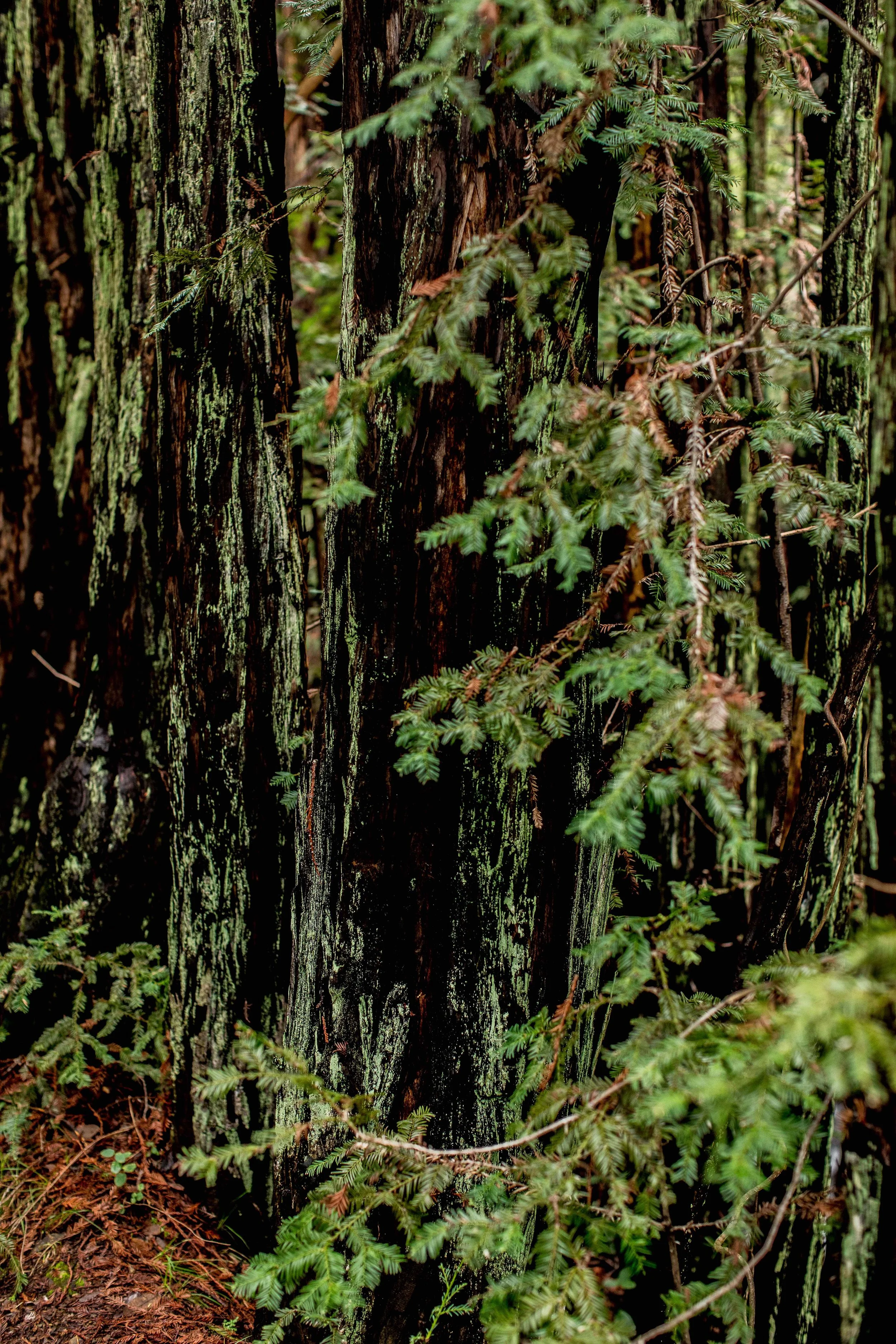 monson_san_fran1-17.jpg