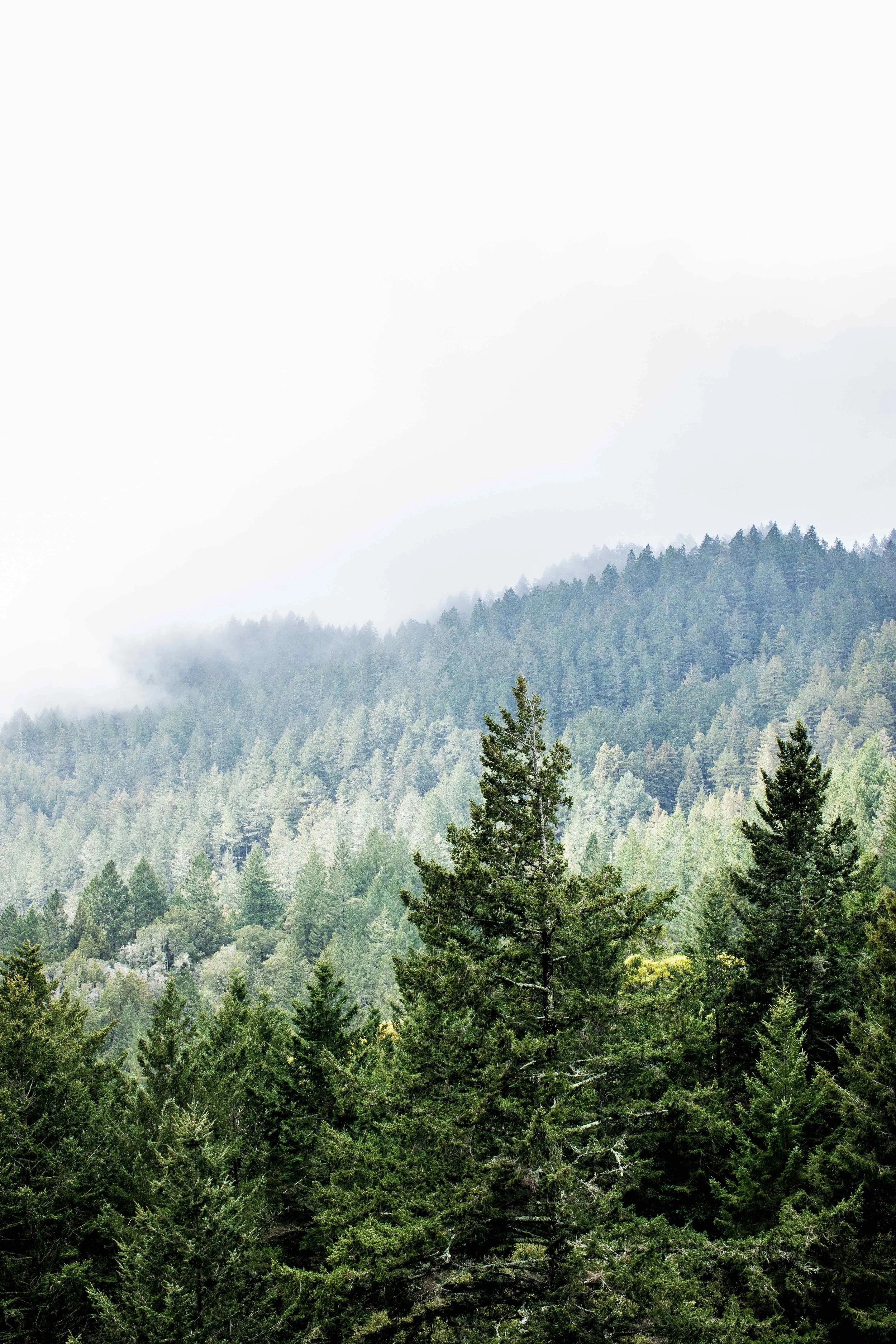 monson_san_fran1-12.jpg