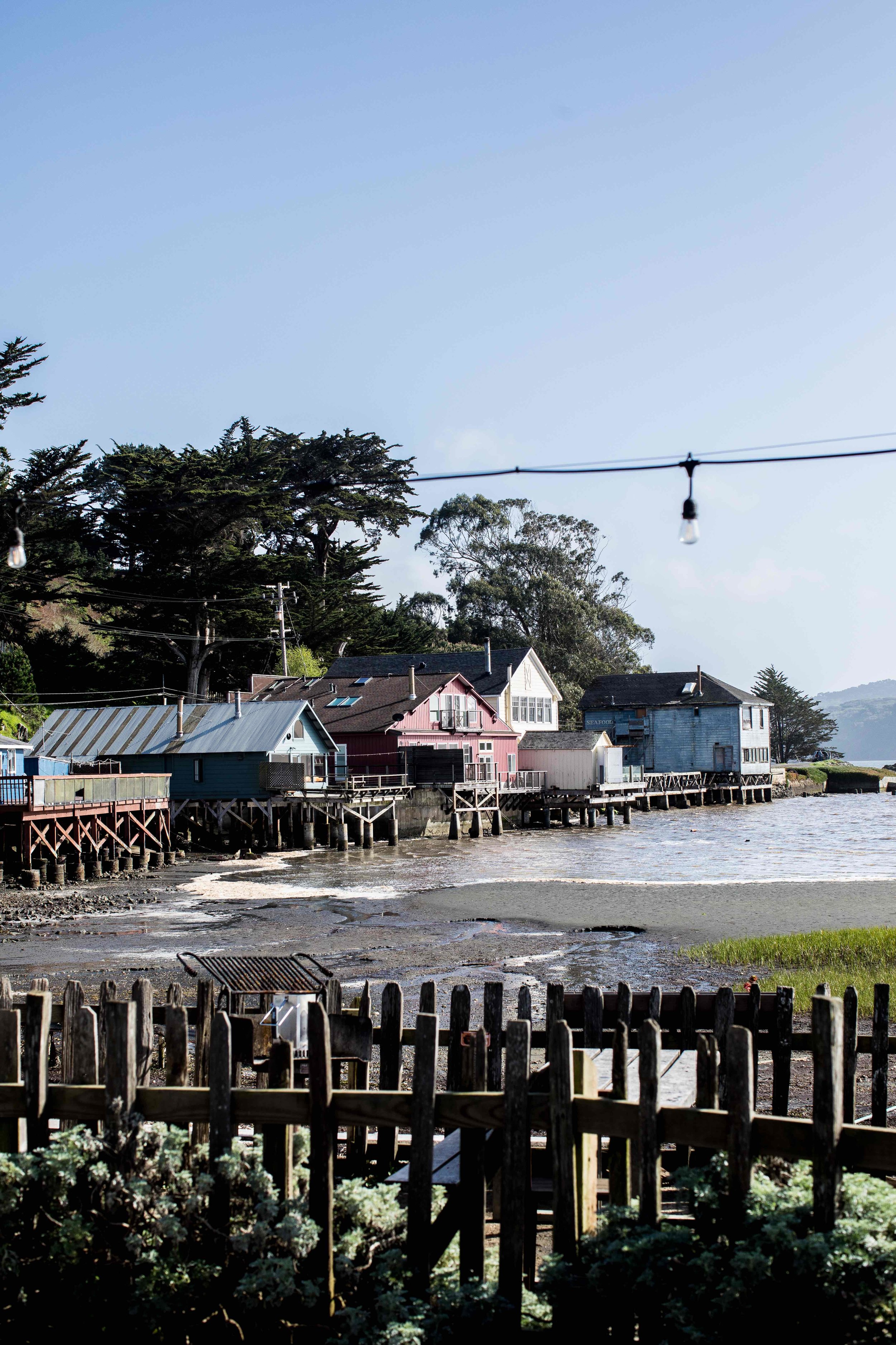 monson_san_fran2-10.jpg