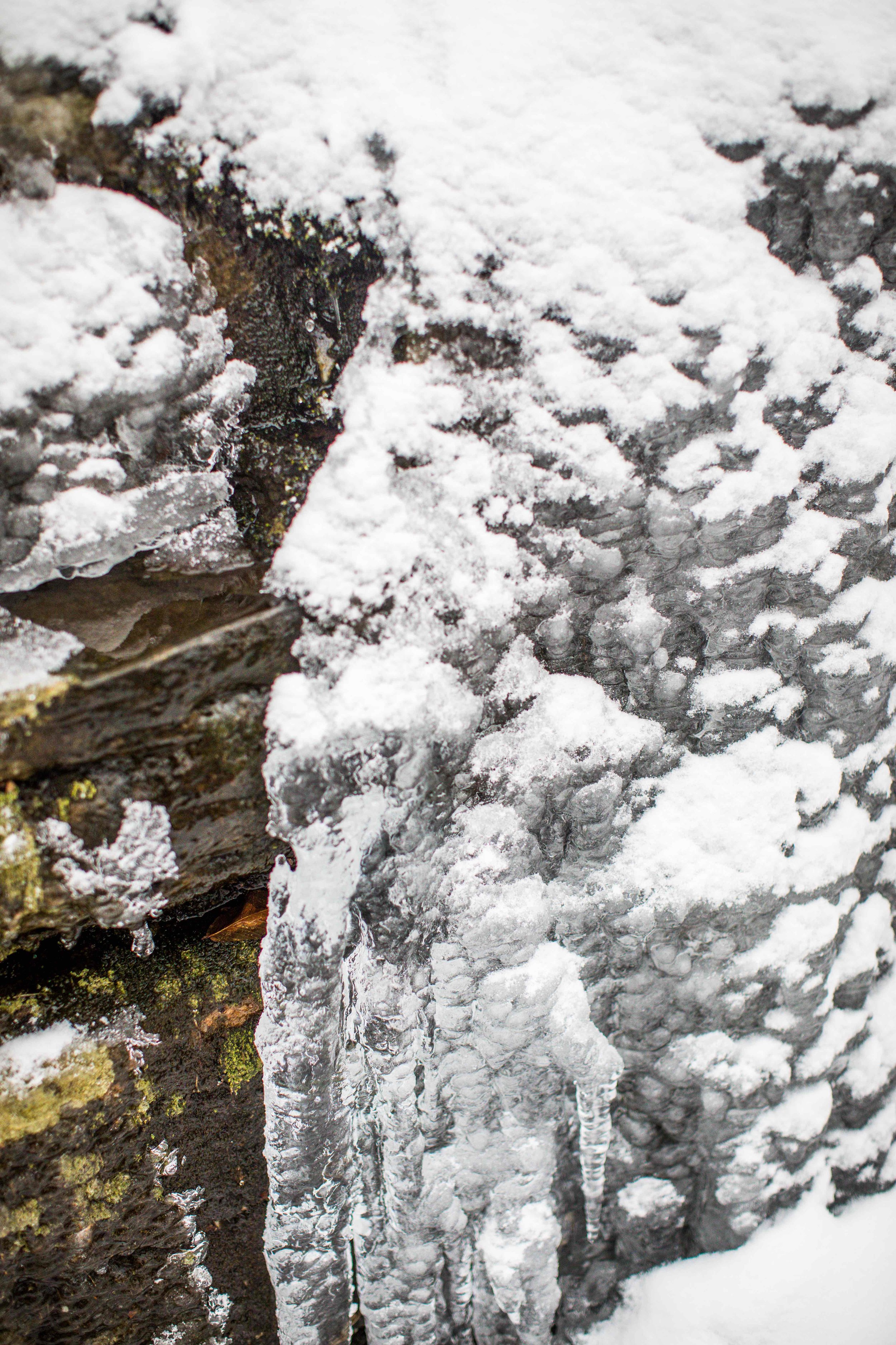 monson_catskills-33.jpg