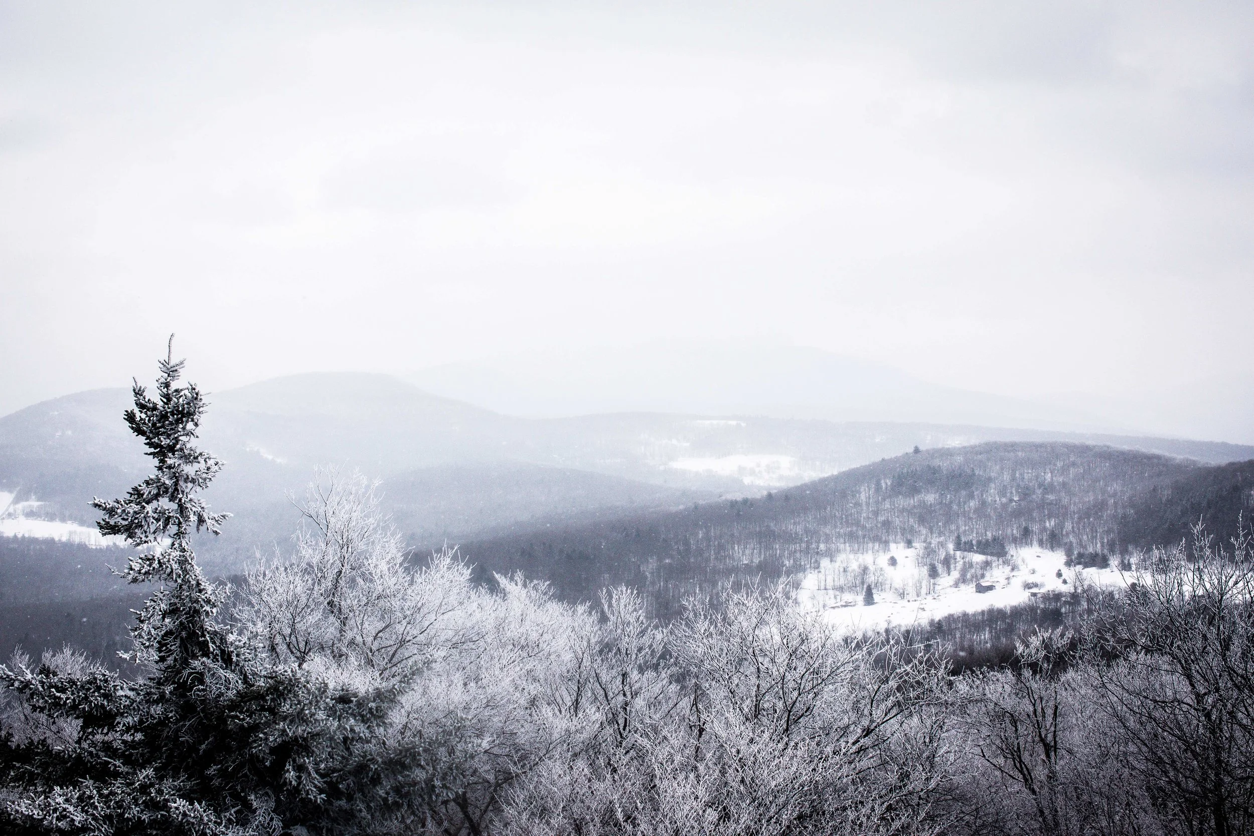 monson_catskills2.jpg