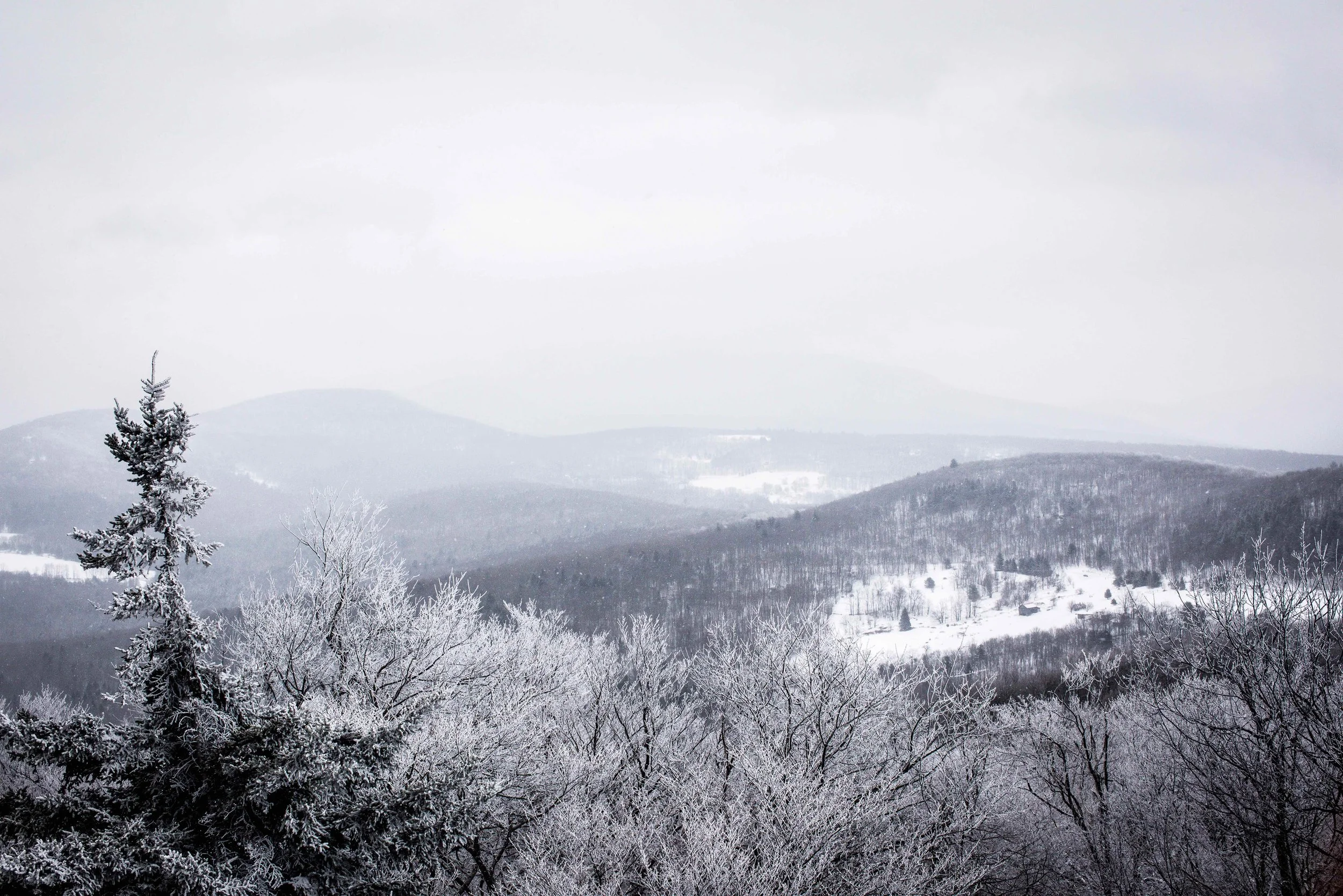 monson_catskills2-2.jpg