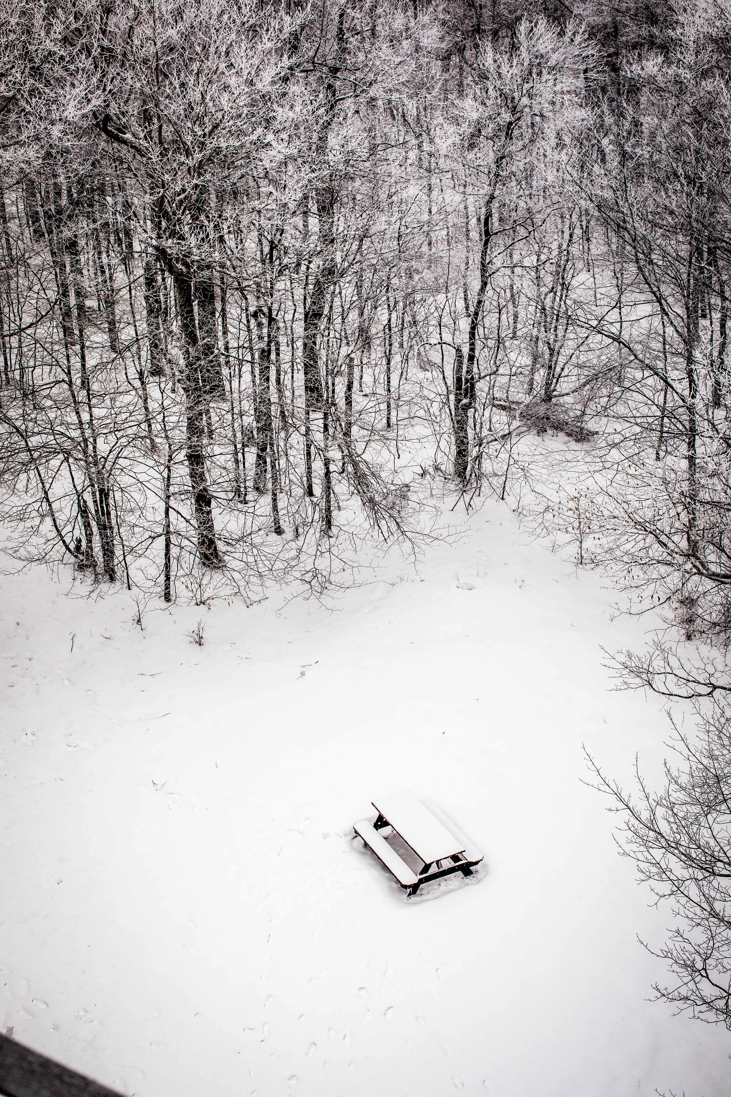monson_catskills2-3.jpg