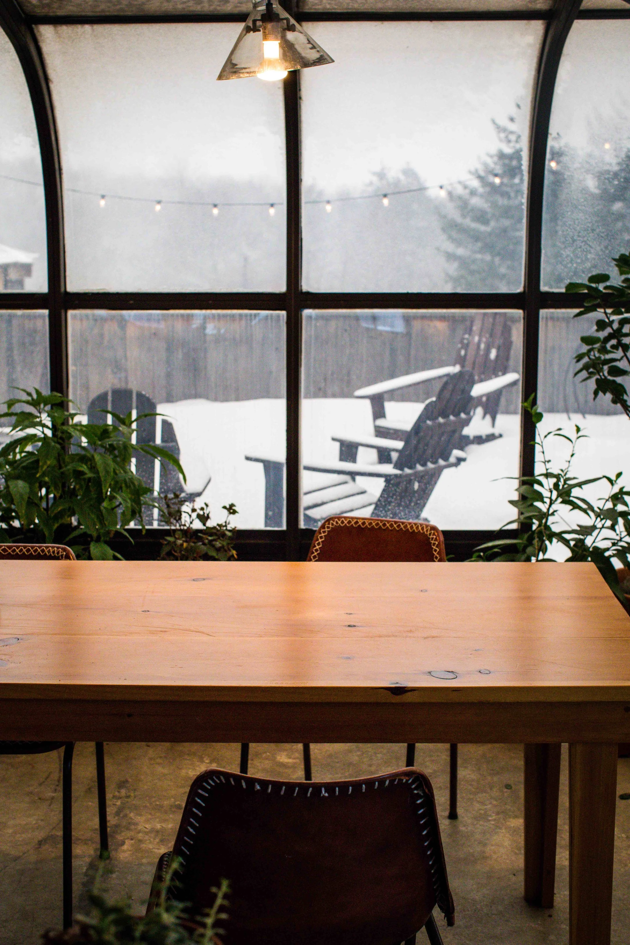 monson_catskills2-12.jpg