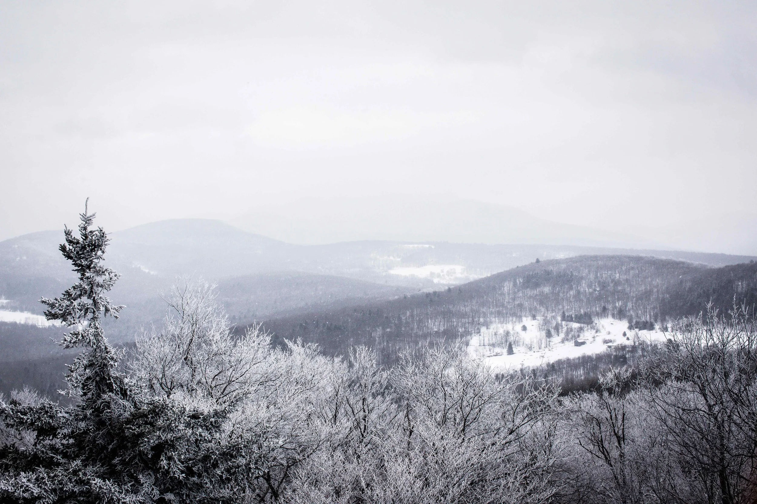 monson_catskills2-22.jpg