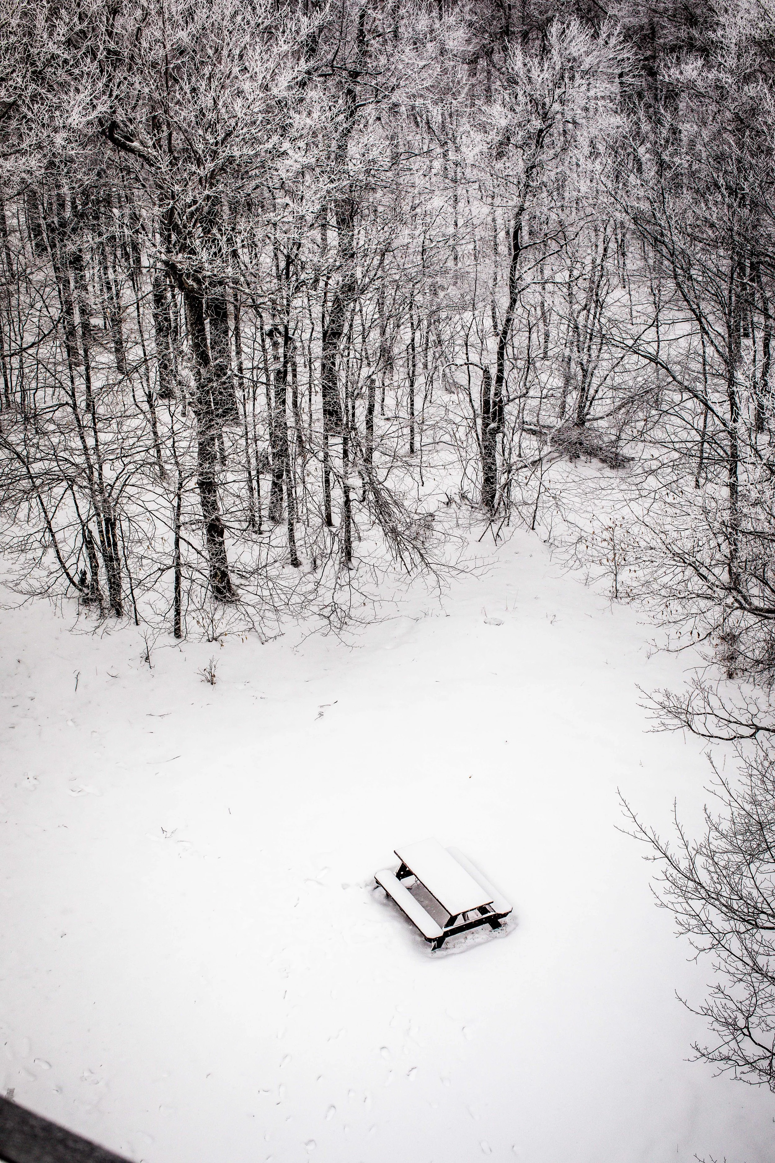 monson_catskills2-32.jpg