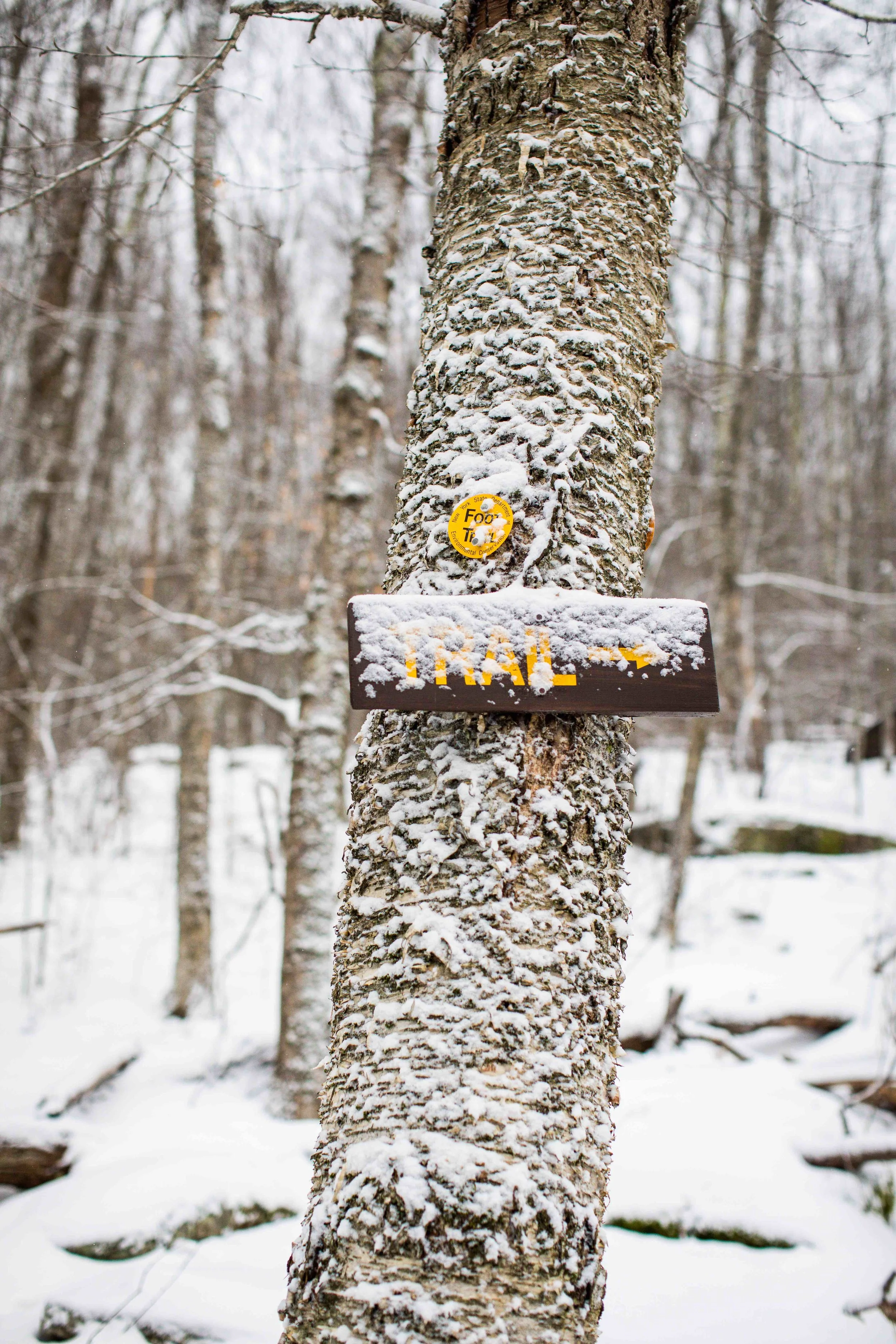 monson_catskills2-212.jpg