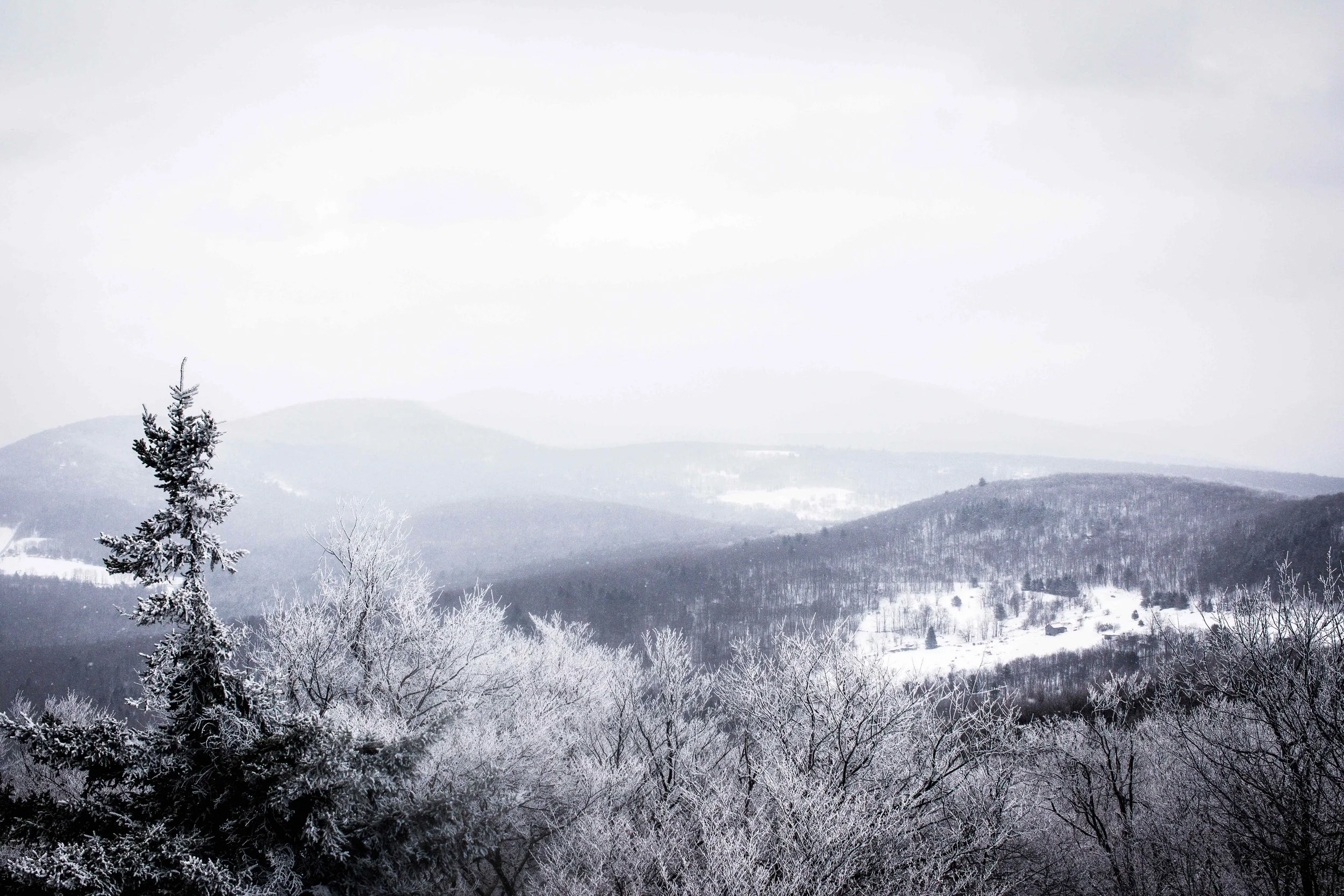 monson_catskills22.jpg