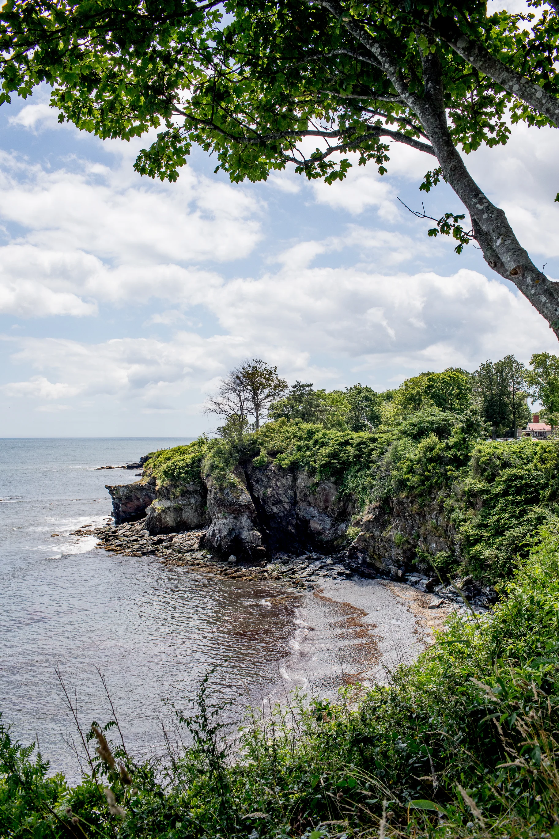 monson_summer_2019_rhodeisland-22.jpg