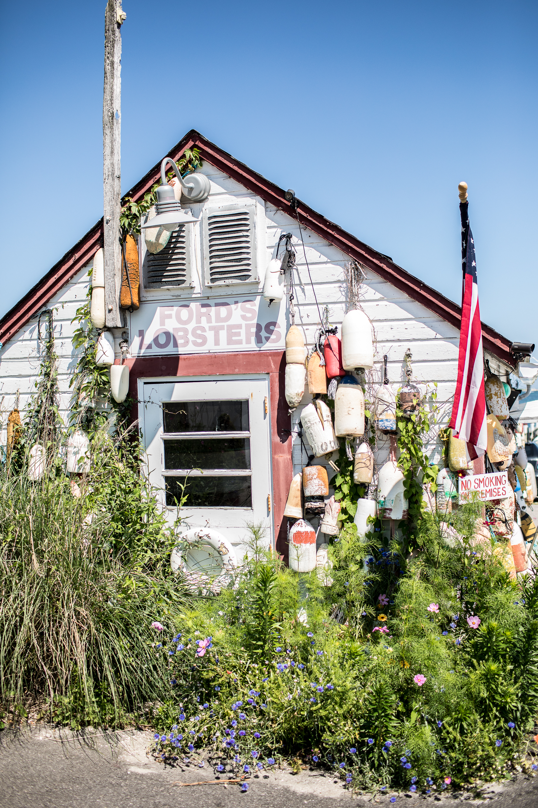 monson_summer_2019_rhodeisland-59.jpg