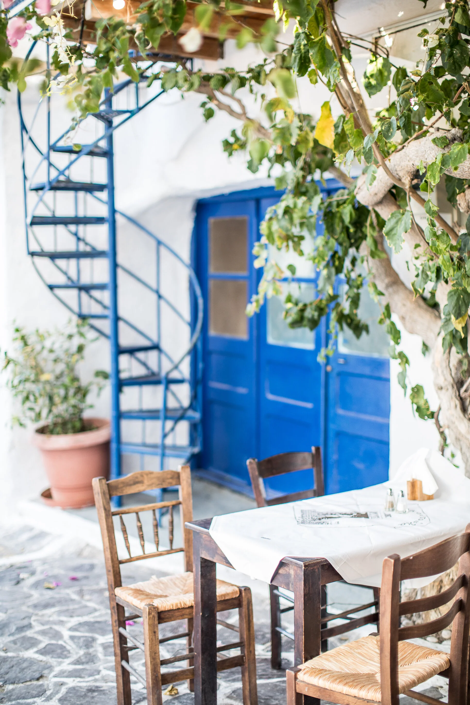 monson greece_milos2-74.jpg