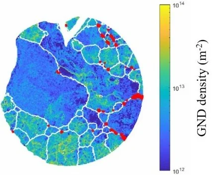 Stored-strain-energy map in shape memory alloy.  From HEDM.