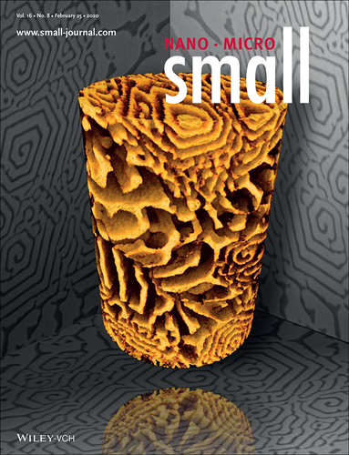 Faceted spiral structure of a two-phase eutectic imaged via X-ray nanotomography.