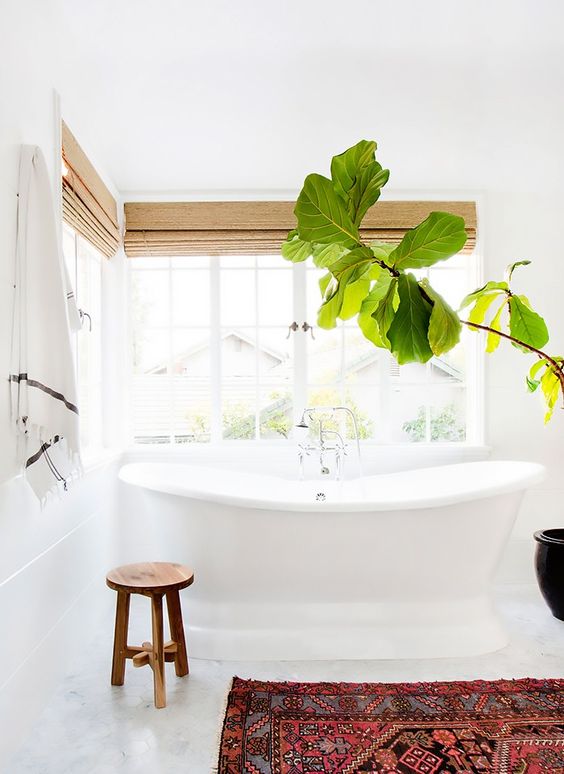 Amber Interiors