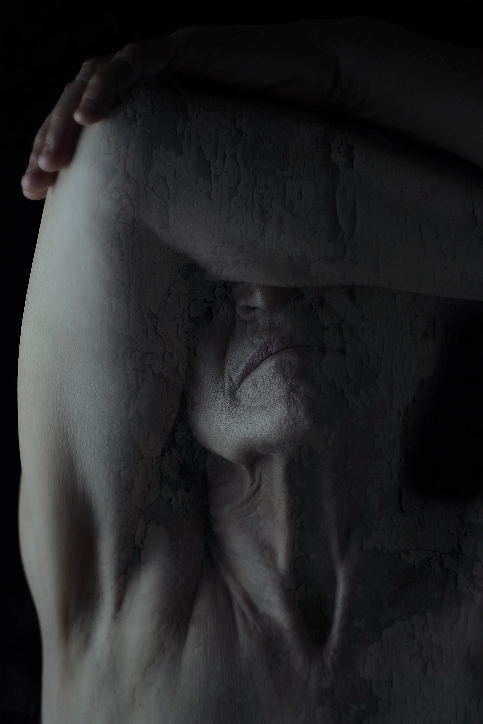 margoterrante_thehumancondition_4.jpg