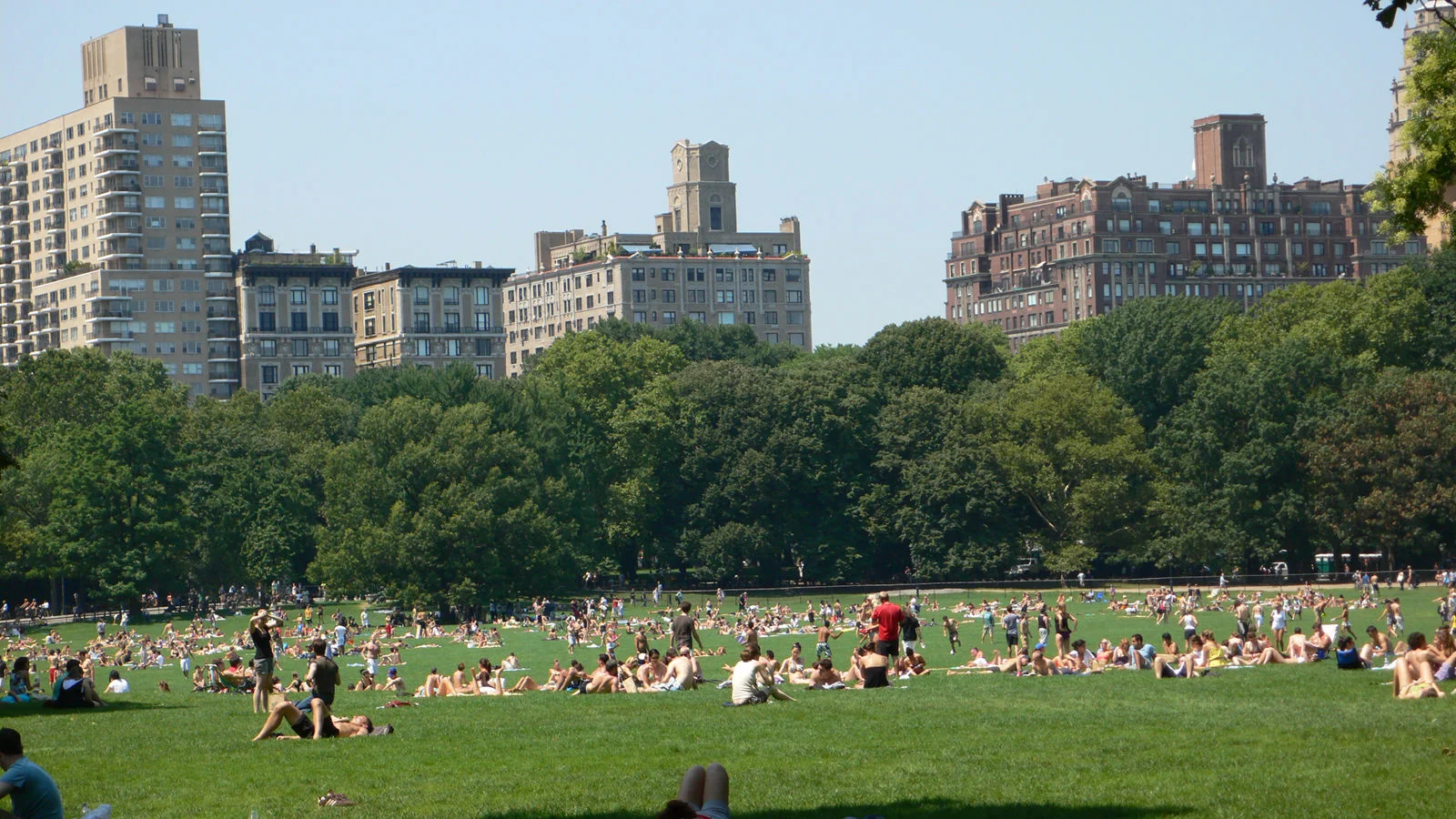 325_1central_park_sunday.jpg