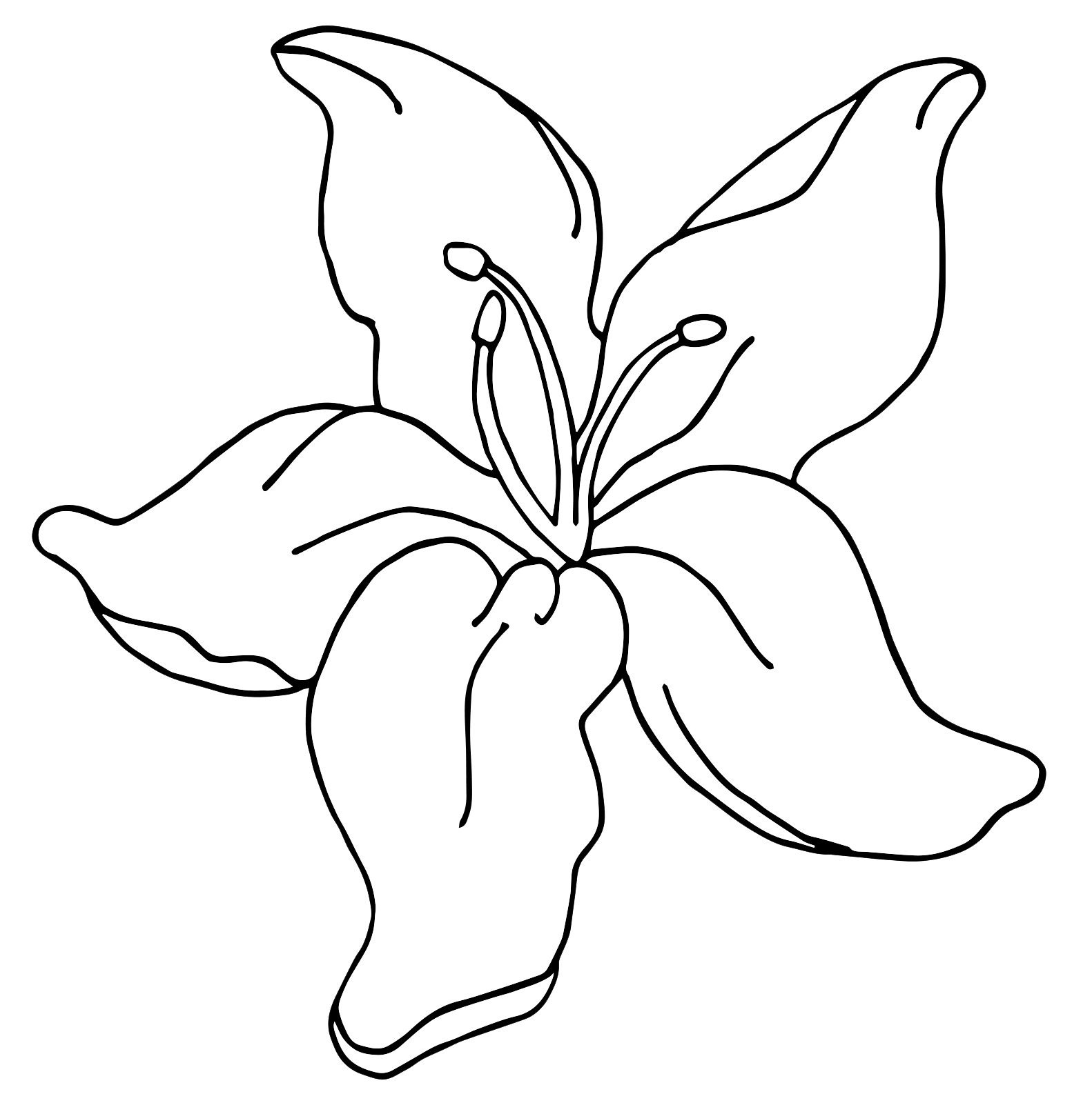 Flower 4.png